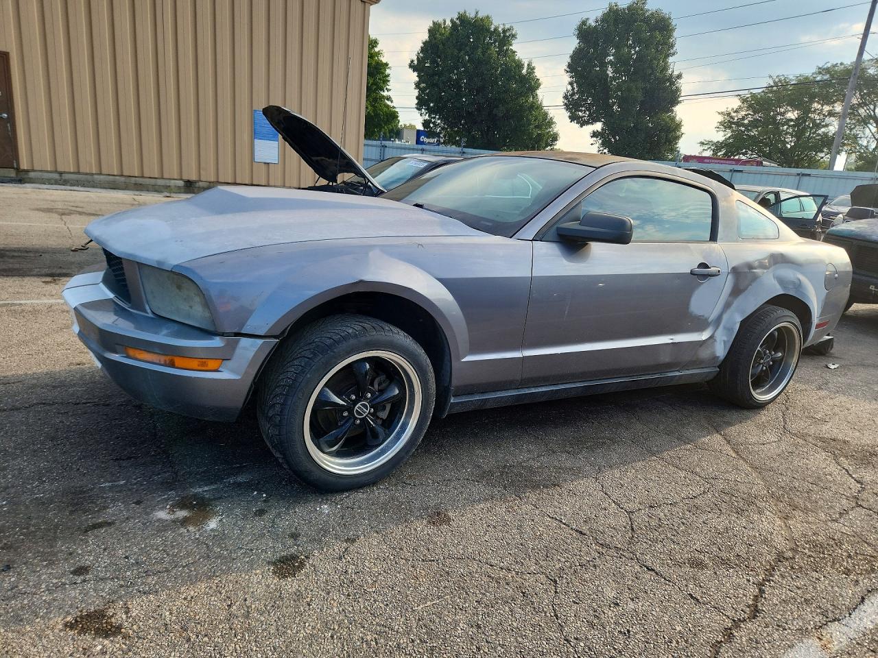 2006 Ford Mustang Gray vin: 1ZVFT80N965247571