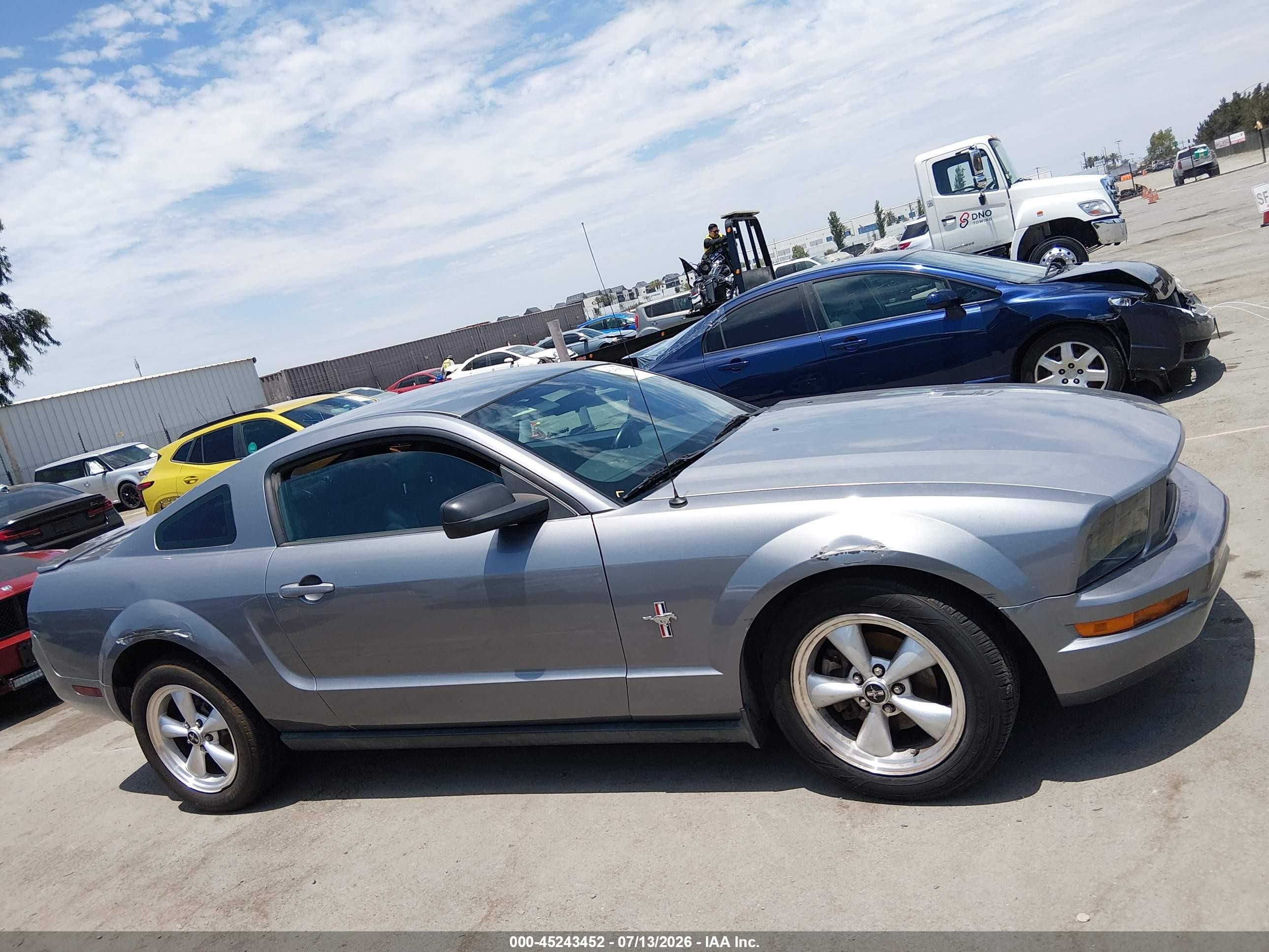 2007 Ford Mustang V6 Deluxe/v6 Premium Gray vin: 1ZVFT80N975218153