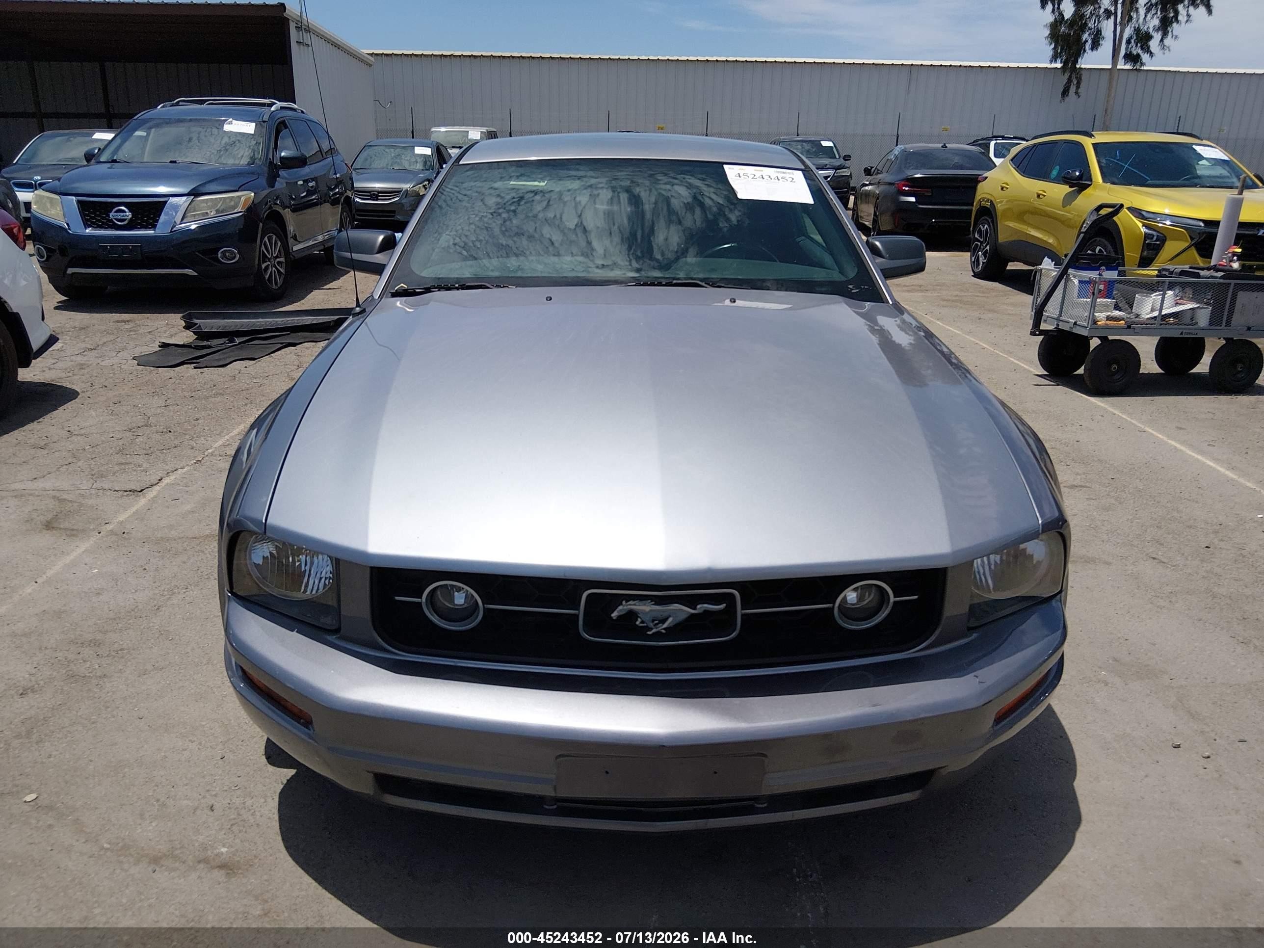 2007 Ford Mustang V6 Deluxe/v6 Premium Gray vin: 1ZVFT80N975218153