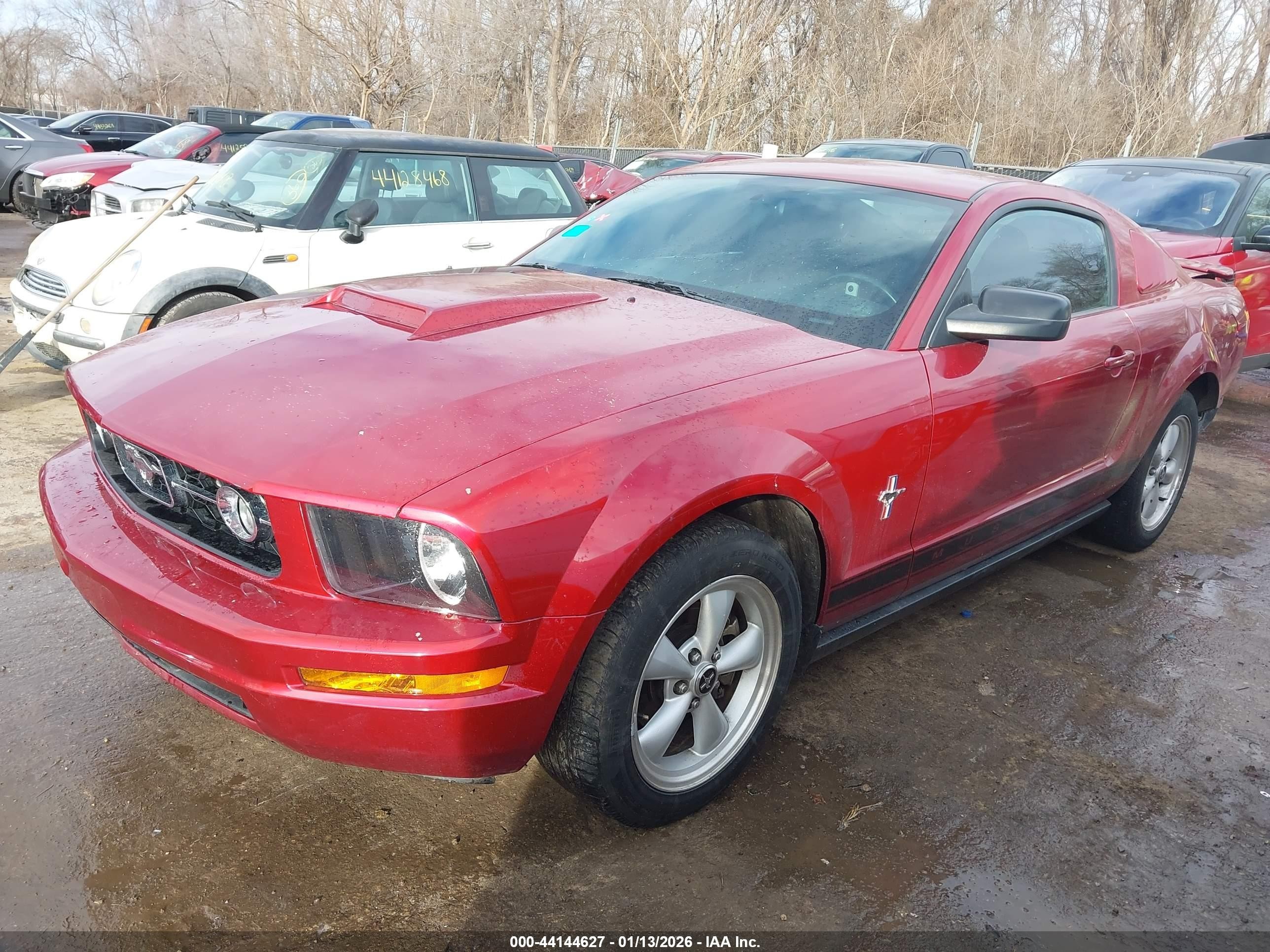 2007 Ford Mustang V6 Deluxe/v6 Premium Red vin: 1ZVFT80N975334873