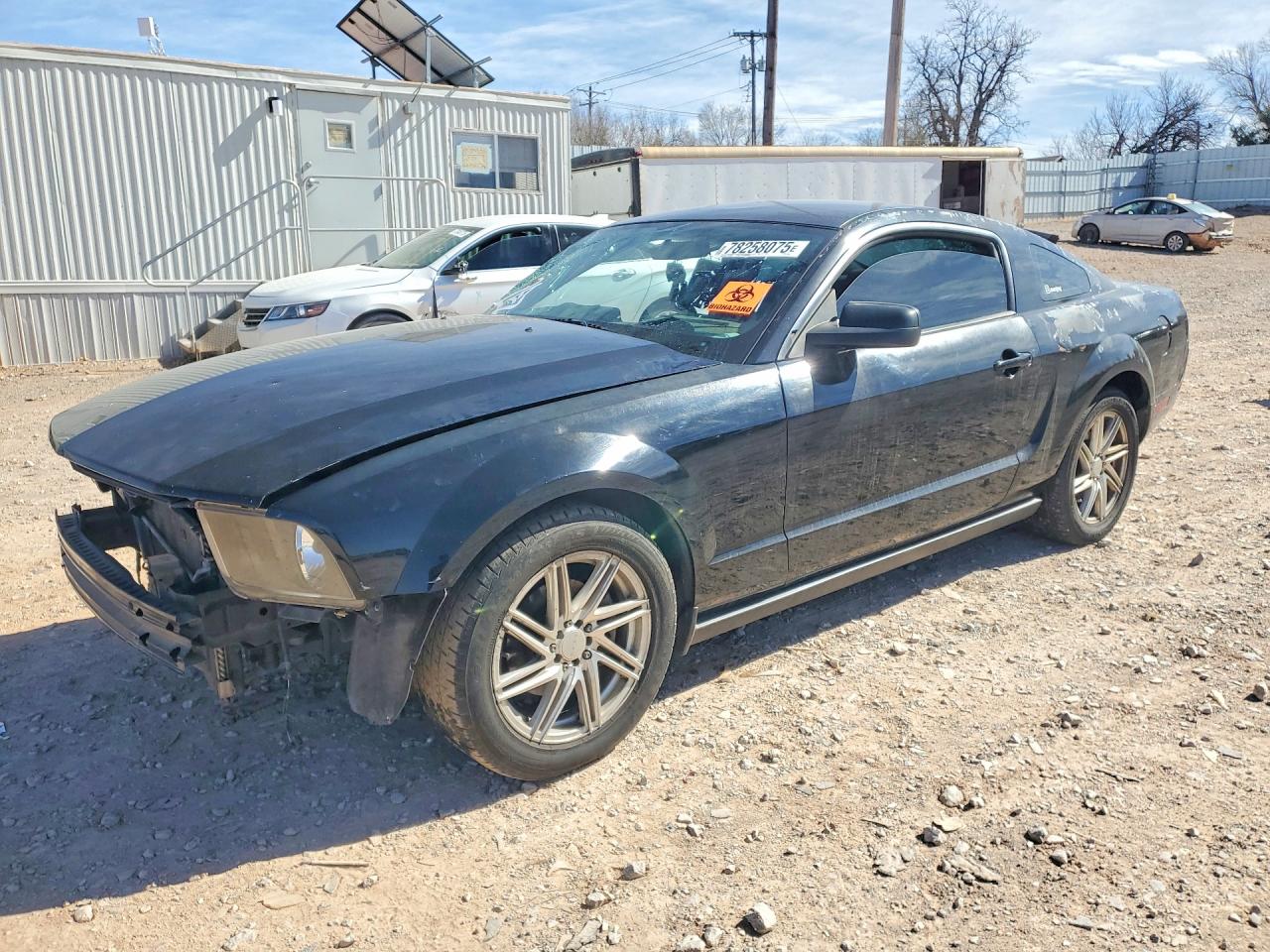 2007 Ford Mustang Black vin: 1ZVFT80N975339457