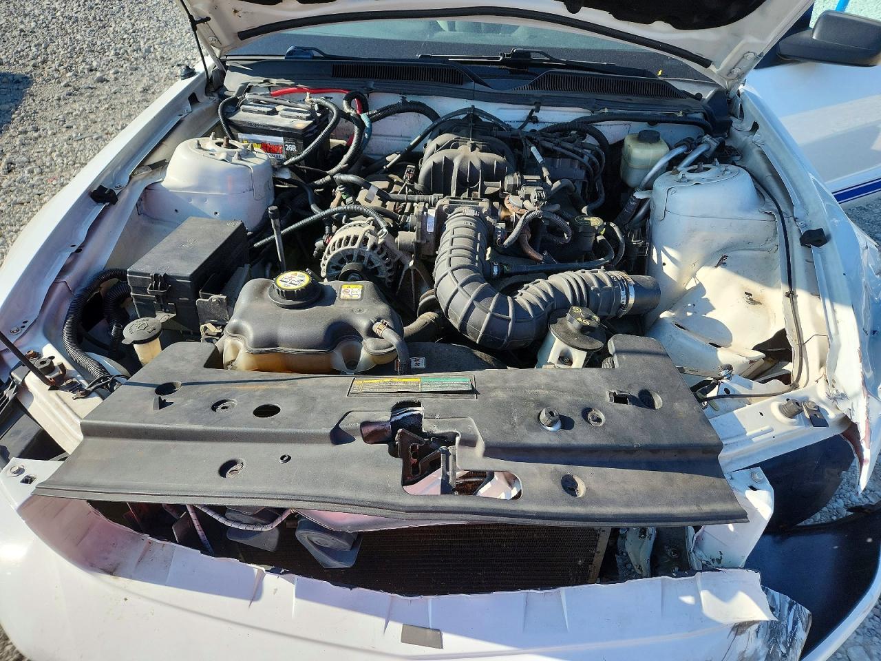 2007 Ford Mustang Белый vin: 1ZVFT80N975359045