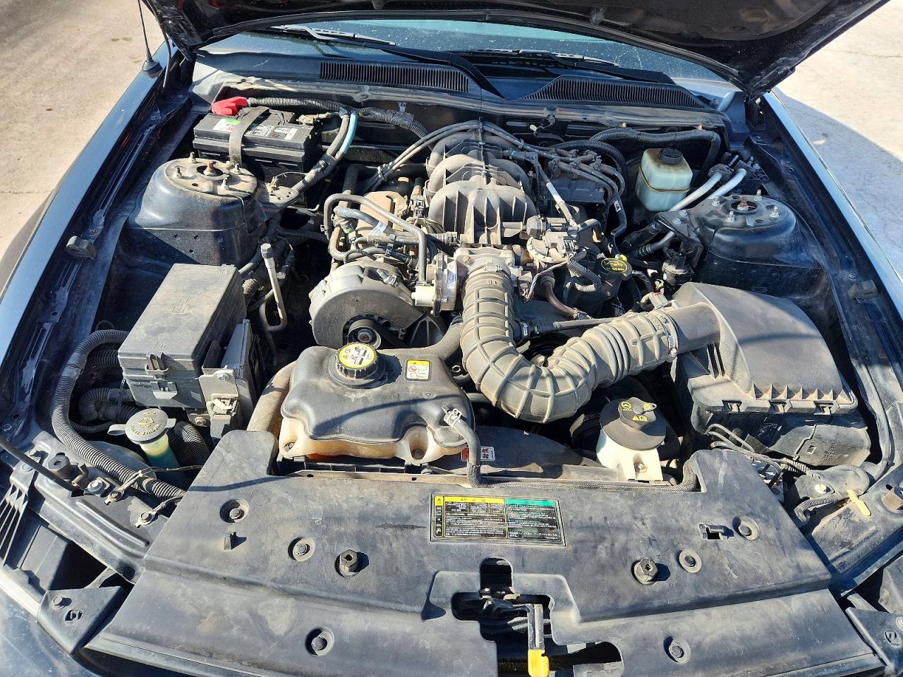 2005 Ford Mustang Черный vin: 1ZVFT80NX55154573