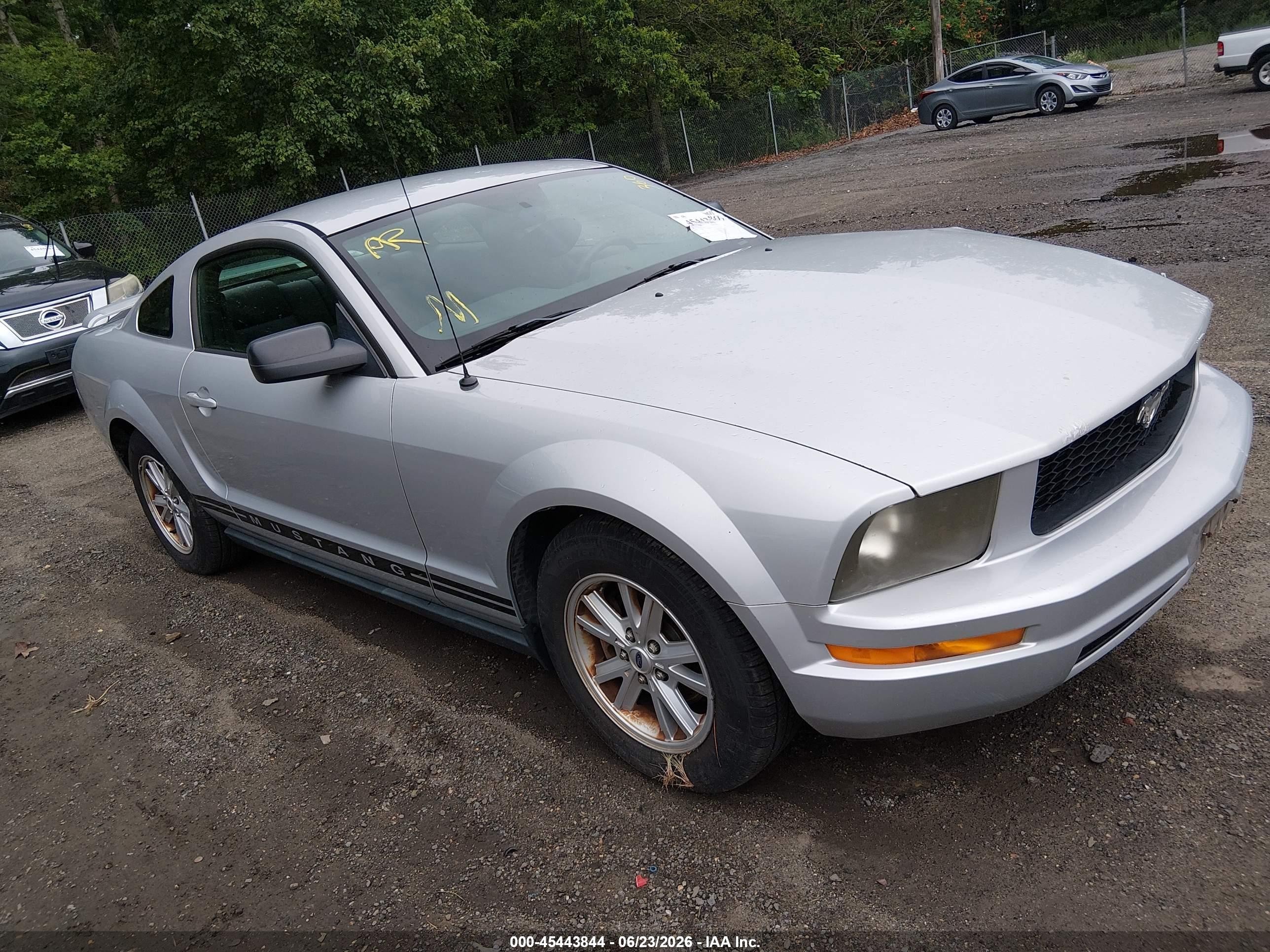 2005 Ford Mustang   Gray vin: 1ZVFT80NX55187962