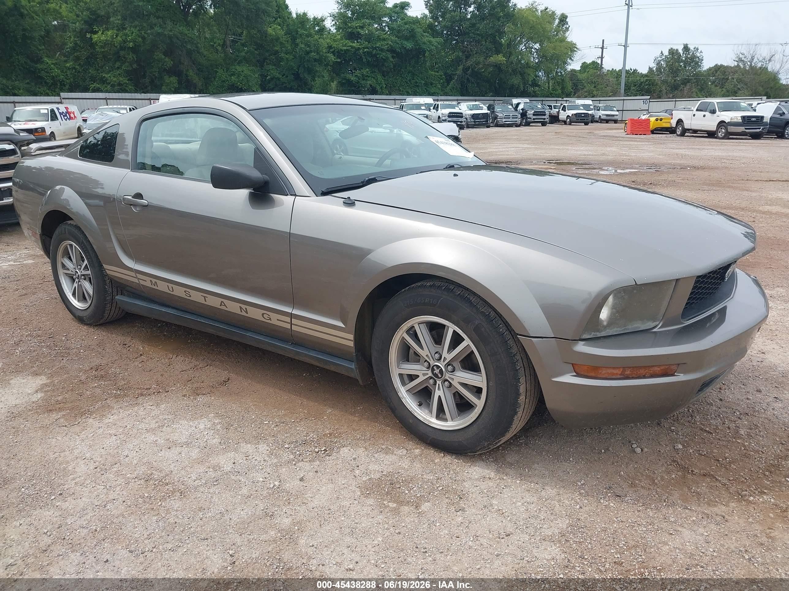 2005 Ford Mustang V6 Deluxe/v6 Premium Золотой vin: 1ZVFT80NX55189095