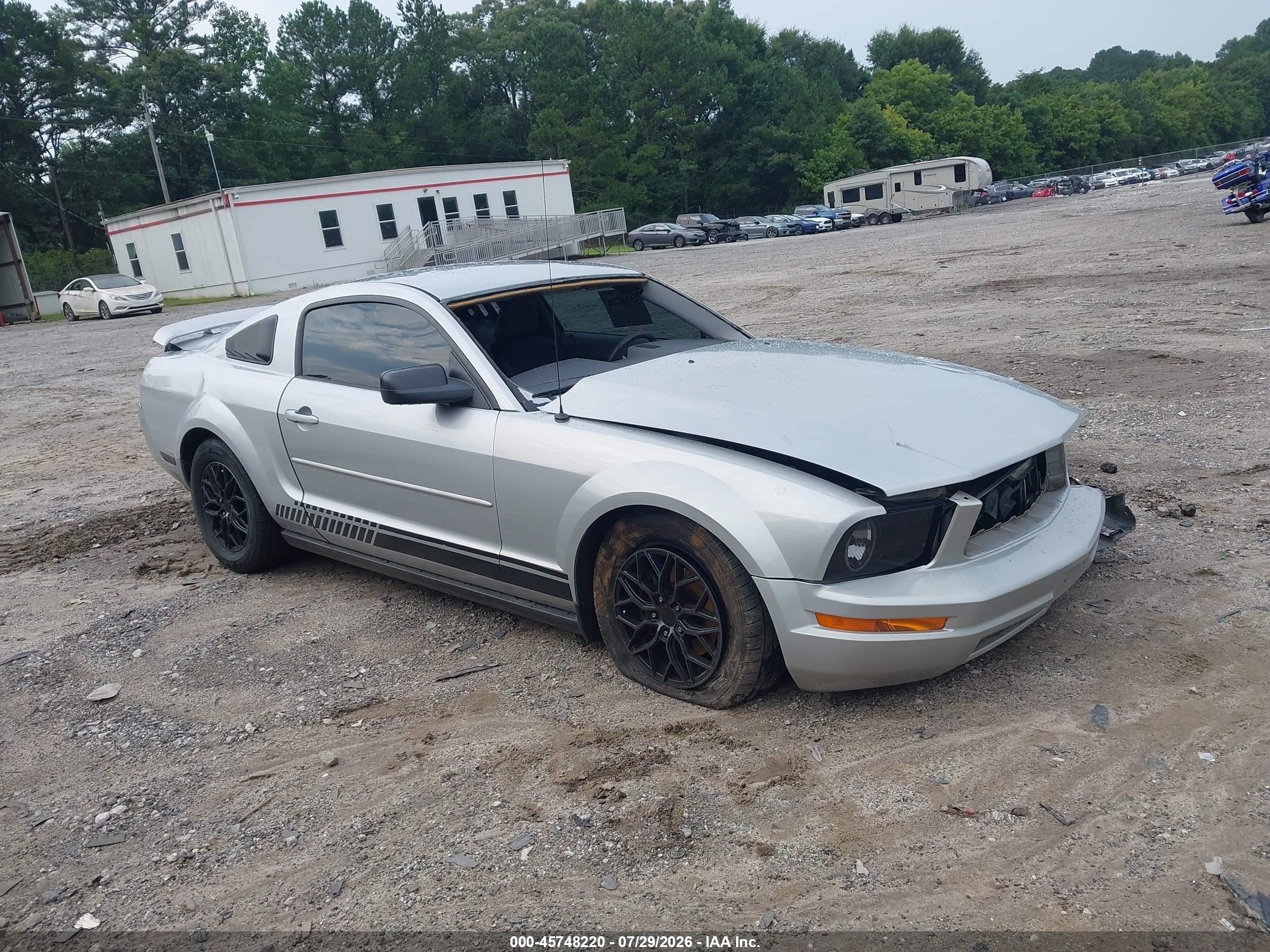 2005 Ford Mustang V6 Deluxe/v6 Premium Серый vin: 1ZVFT80NX55202136