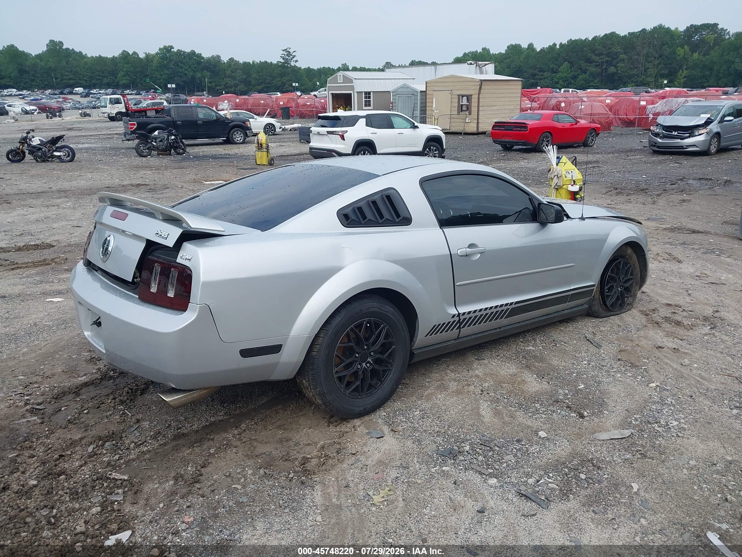 2005 Ford Mustang V6 Deluxe/v6 Premium Gray vin: 1ZVFT80NX55202136