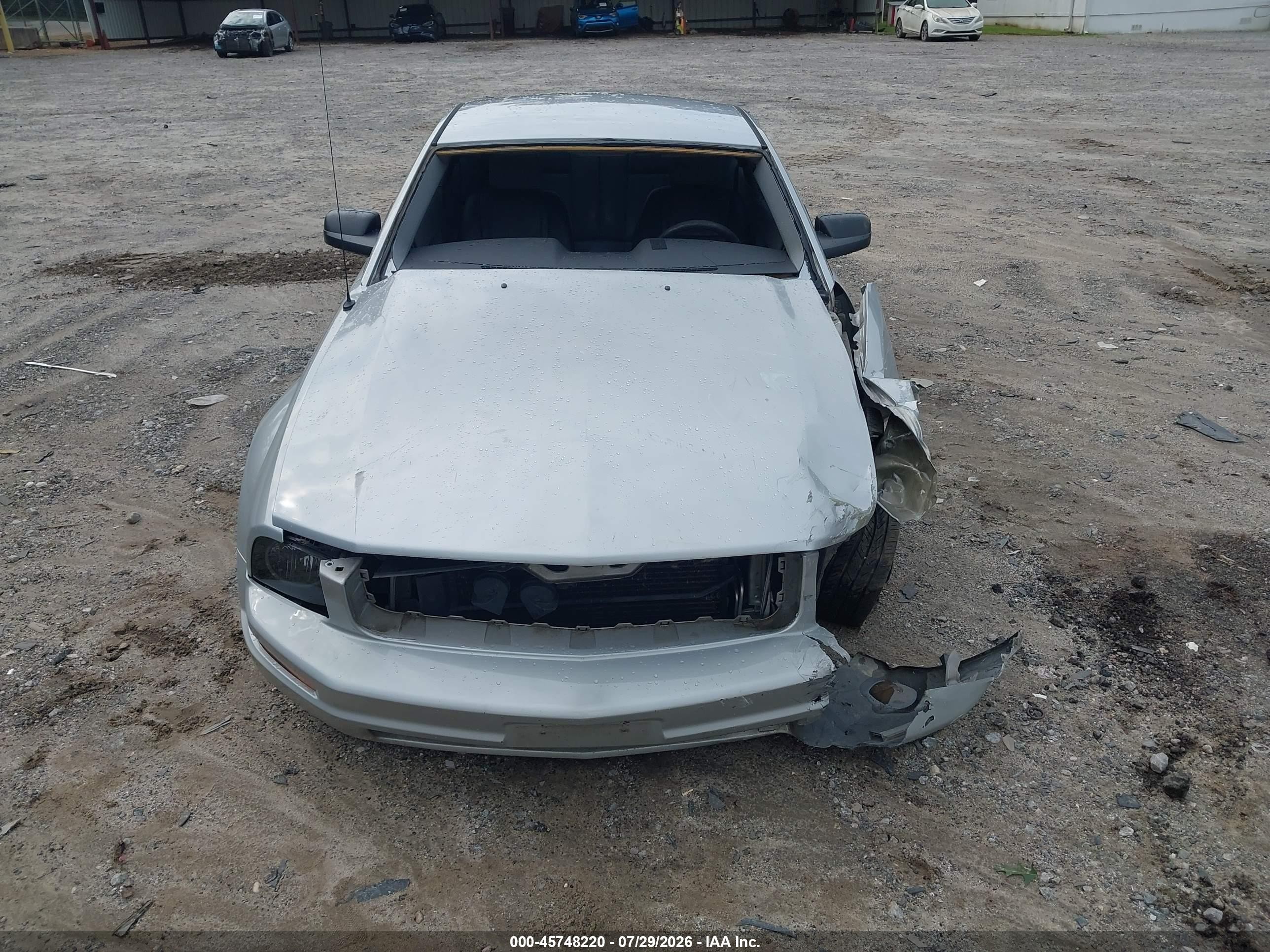 2005 Ford Mustang V6 Deluxe/v6 Premium Gray vin: 1ZVFT80NX55202136