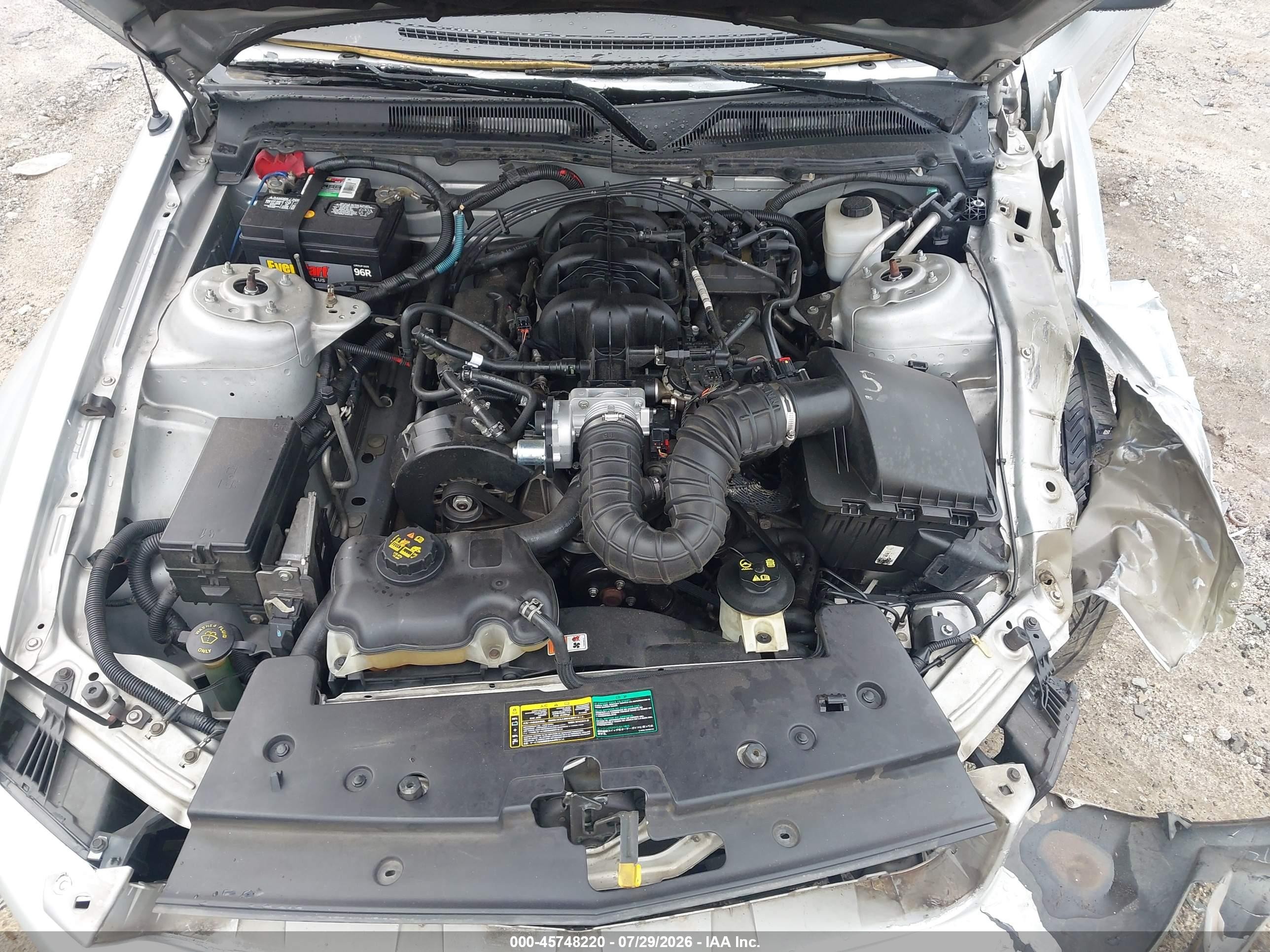 2005 Ford Mustang V6 Deluxe/v6 Premium Gray vin: 1ZVFT80NX55202136