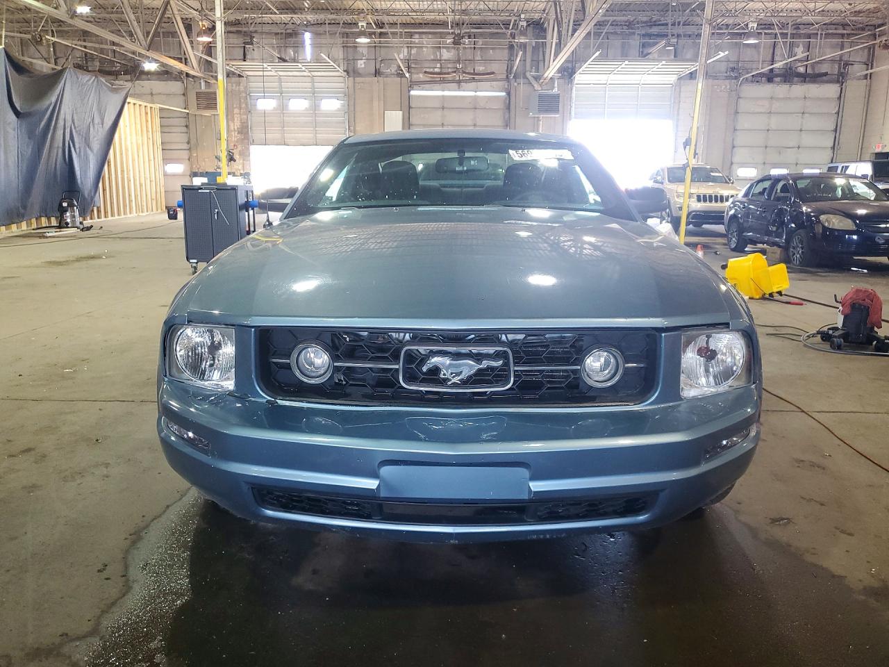 2005 Ford Mustang Синий vin: 1ZVFT80NX55228946