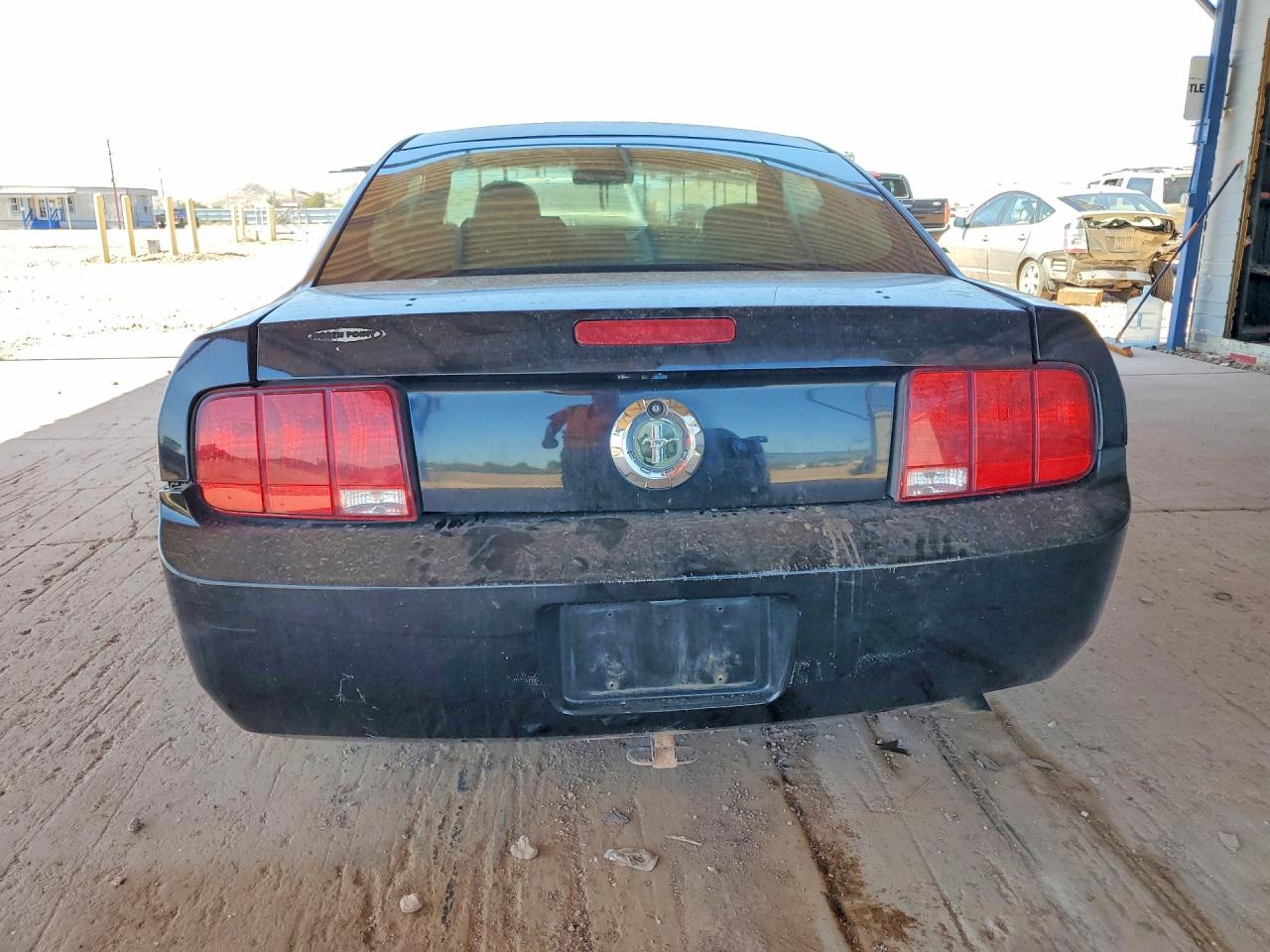 2005 Ford Mustang Black vin: 1ZVFT80NX55234889