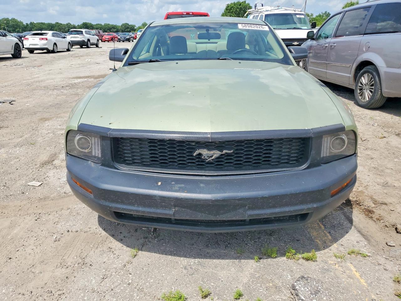 2005 Ford Mustang Зеленый vin: 1ZVFT80NX55246038