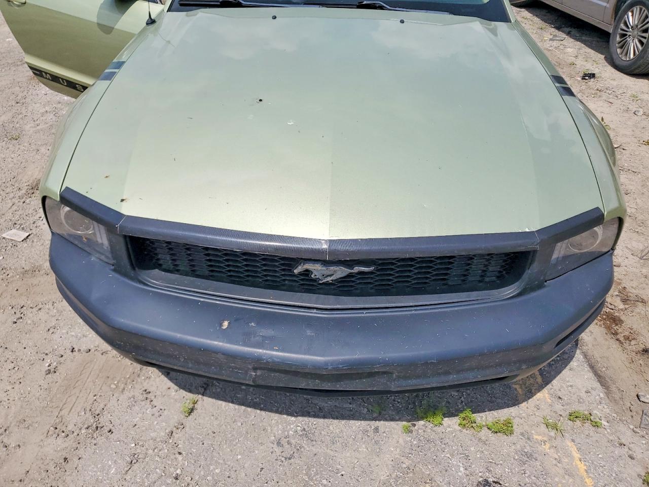 2005 Ford Mustang Зеленый vin: 1ZVFT80NX55246038