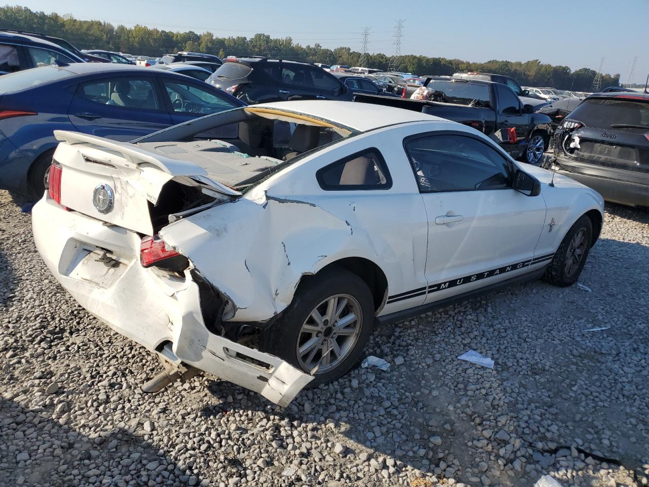 2006 Ford Mustang White vin: 1ZVFT80NX65110770