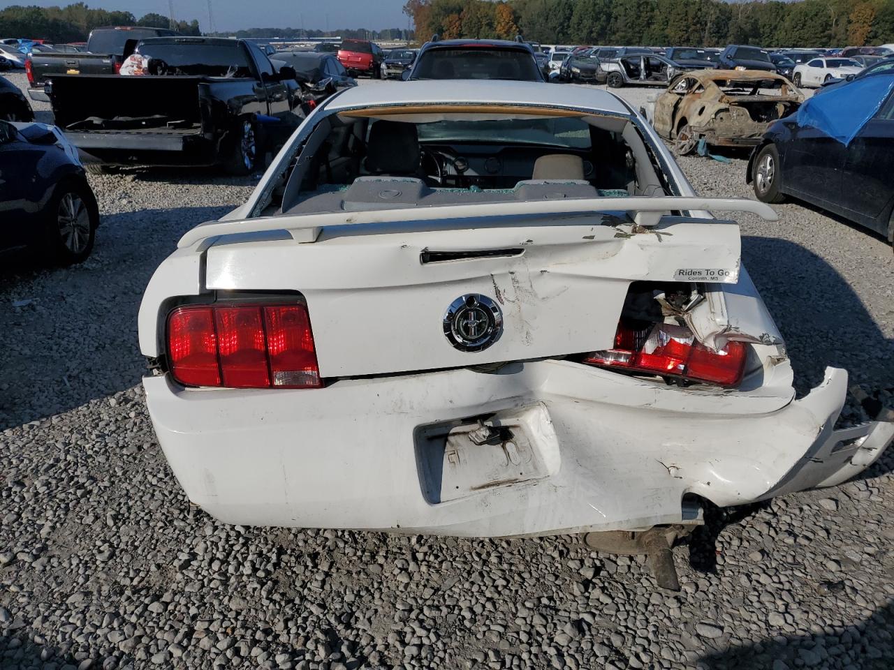 2006 Ford Mustang White vin: 1ZVFT80NX65110770