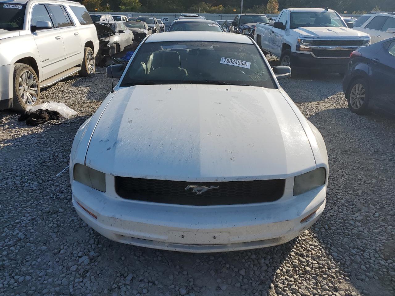 2006 Ford Mustang White vin: 1ZVFT80NX65110770