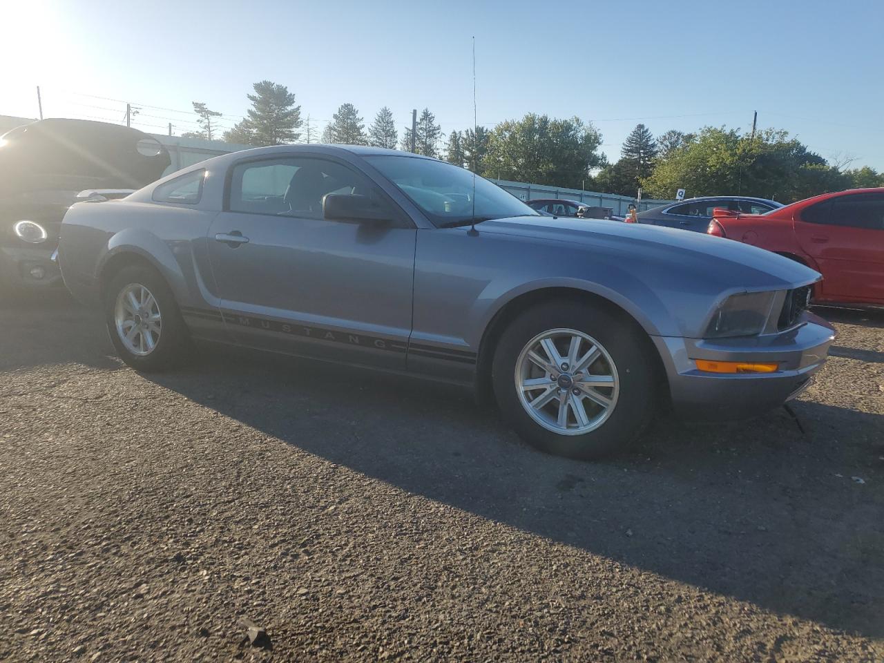 2006 Ford Mustang Gray vin: 1ZVFT80NX65131568