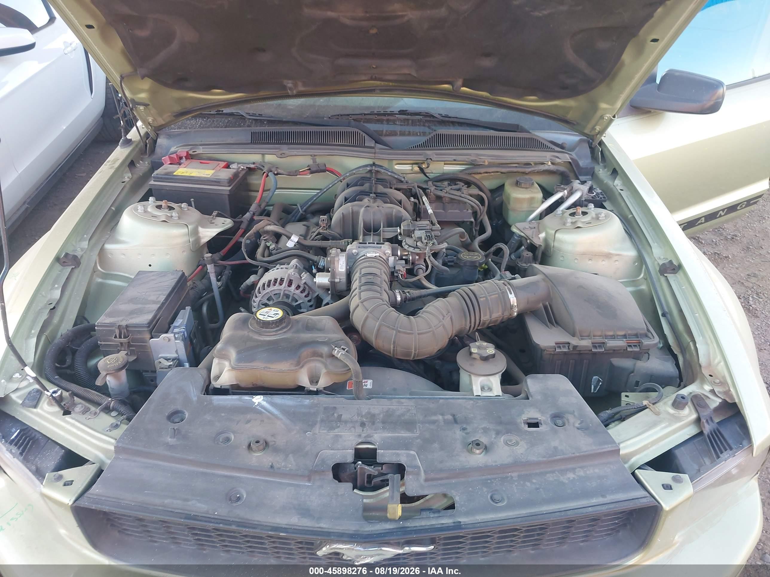 2006 Ford Mustang V6 Белый vin: 1ZVFT80NX65150735