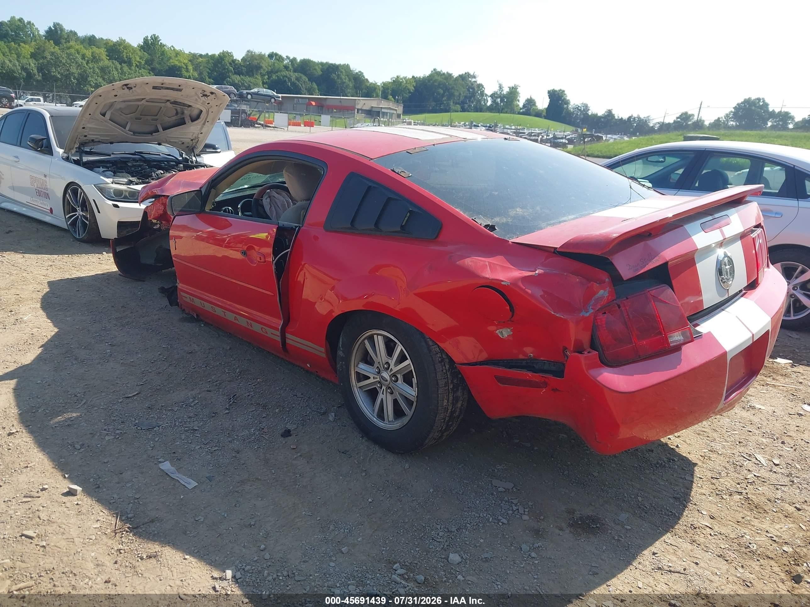 2006 Ford Mustang V6 Red vin: 1ZVFT80NX65152386
