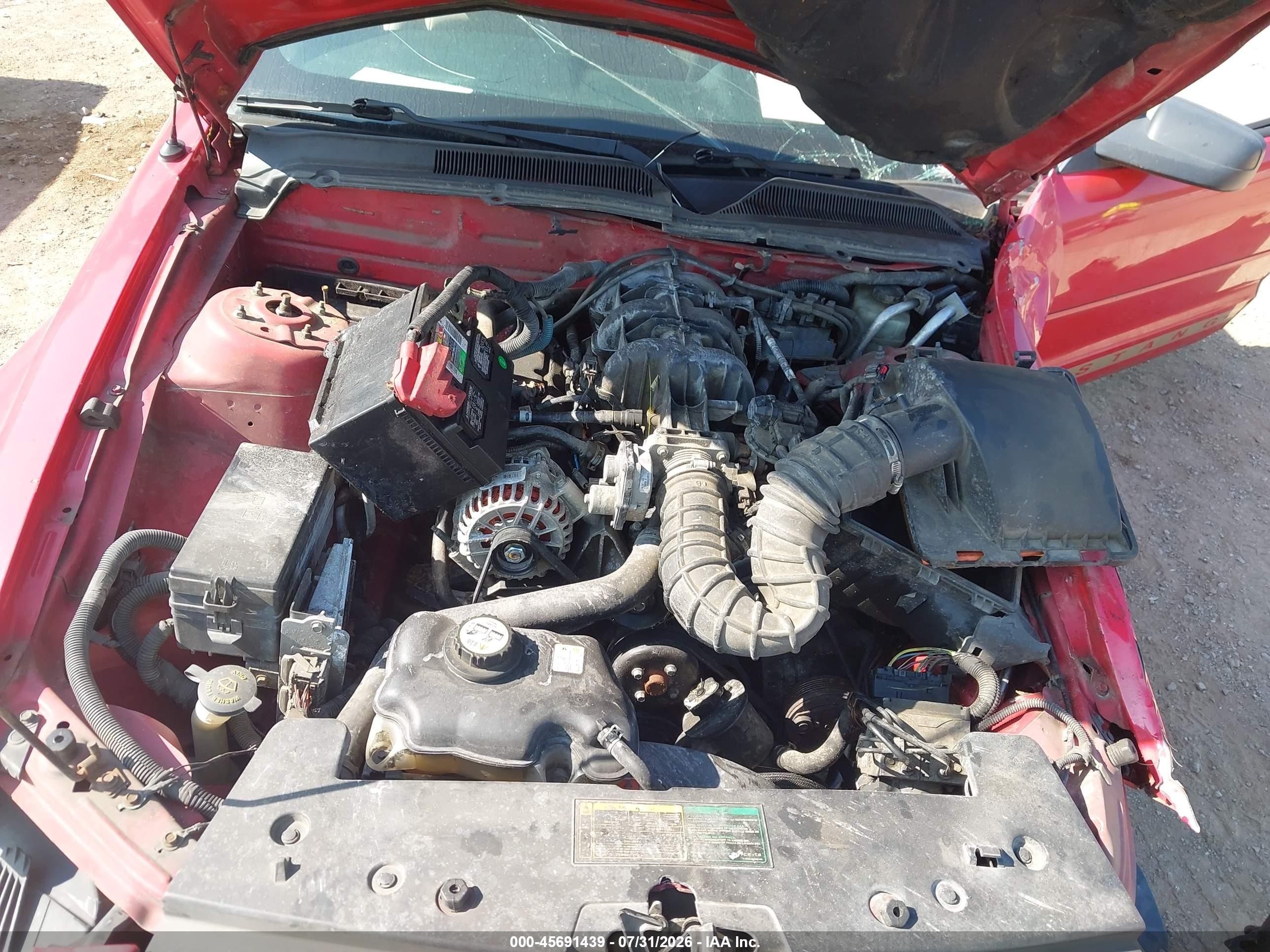 2006 Ford Mustang V6 Red vin: 1ZVFT80NX65152386