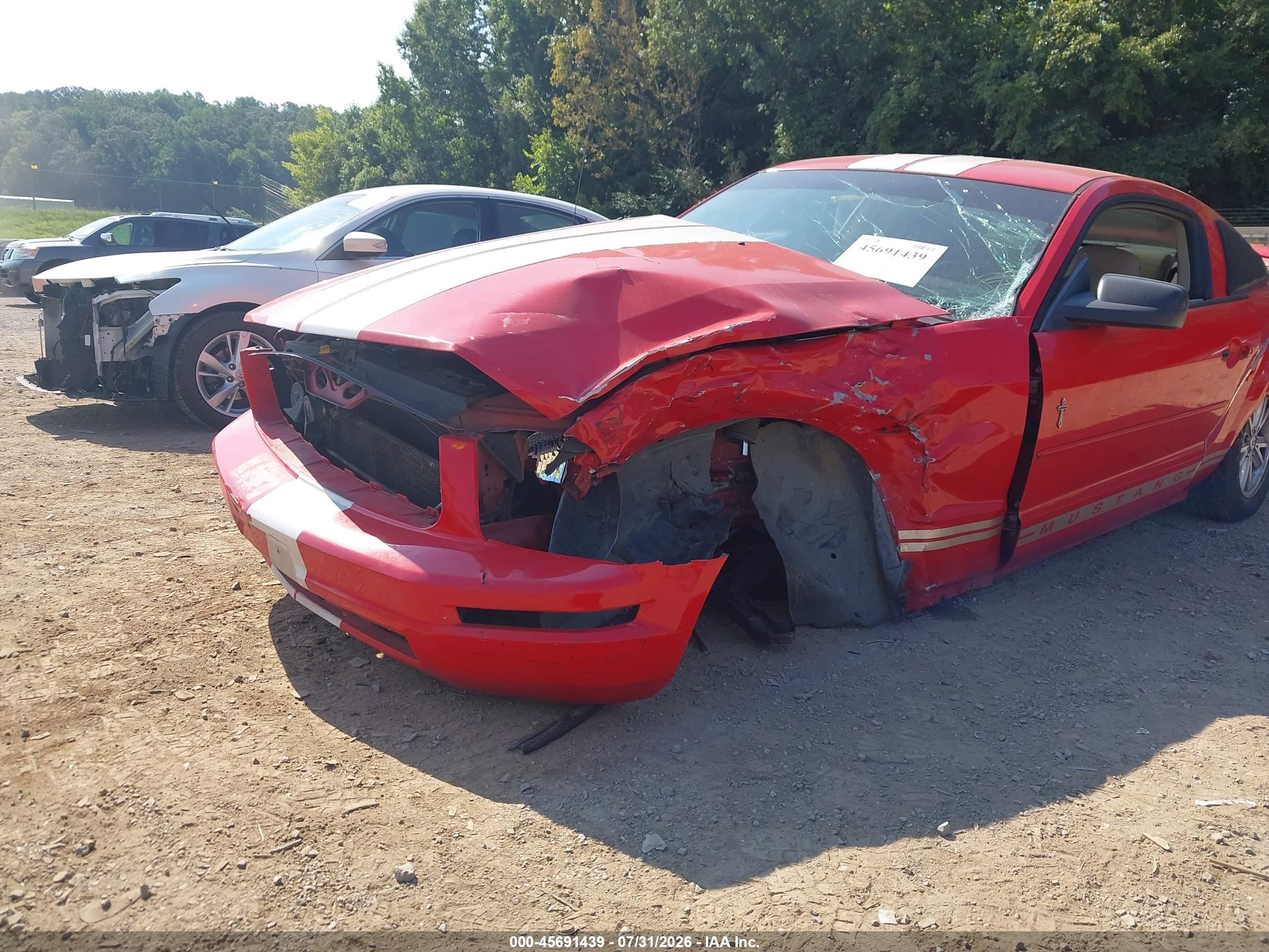 2006 Ford Mustang V6 Red vin: 1ZVFT80NX65152386