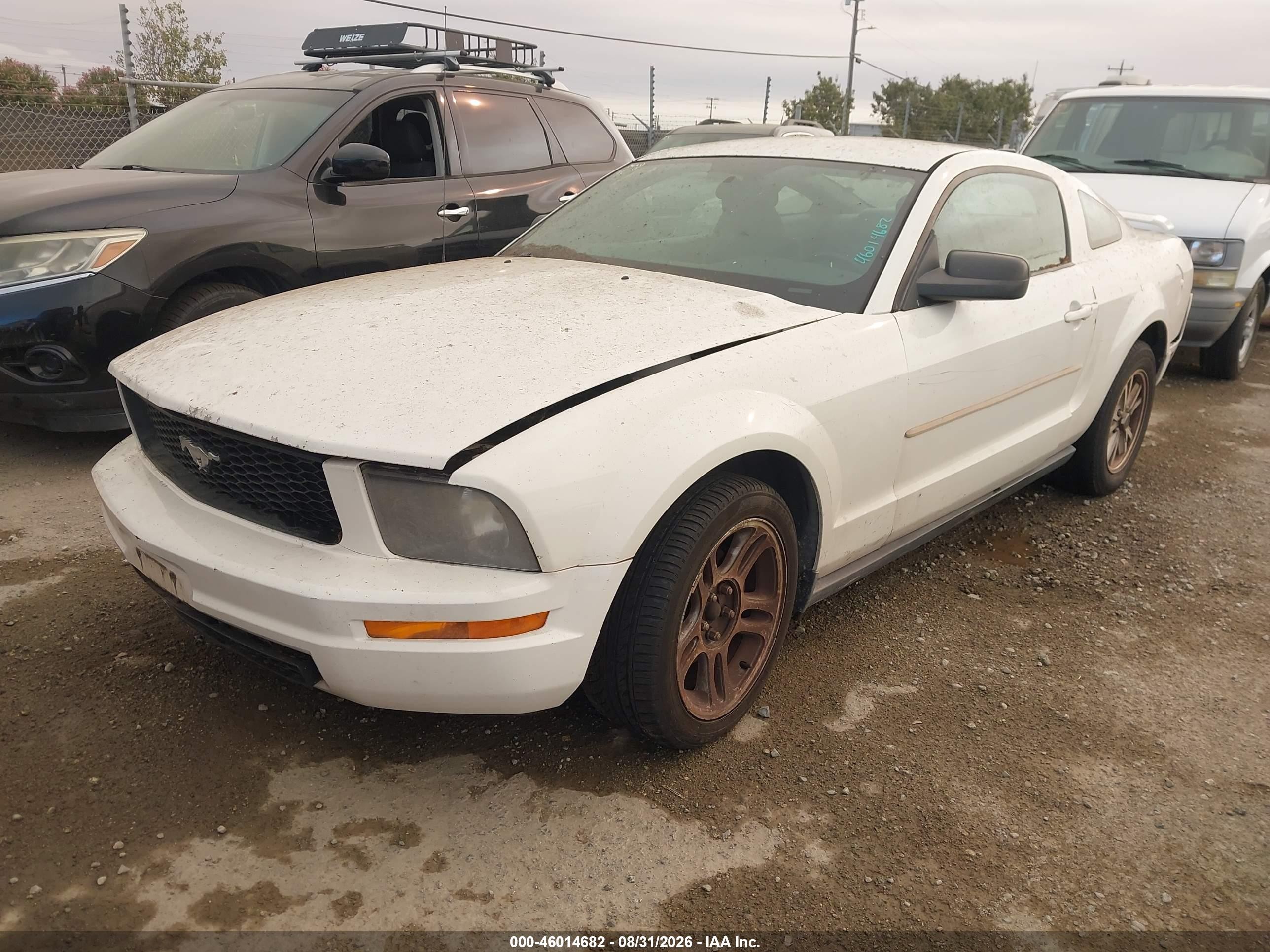 2006 Ford Mustang V6 White vin: 1ZVFT80NX65200579