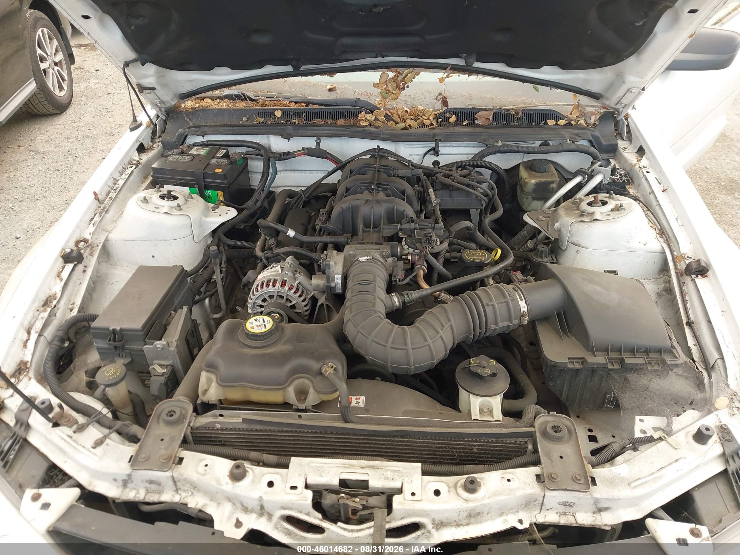 2006 Ford Mustang V6 White vin: 1ZVFT80NX65200579