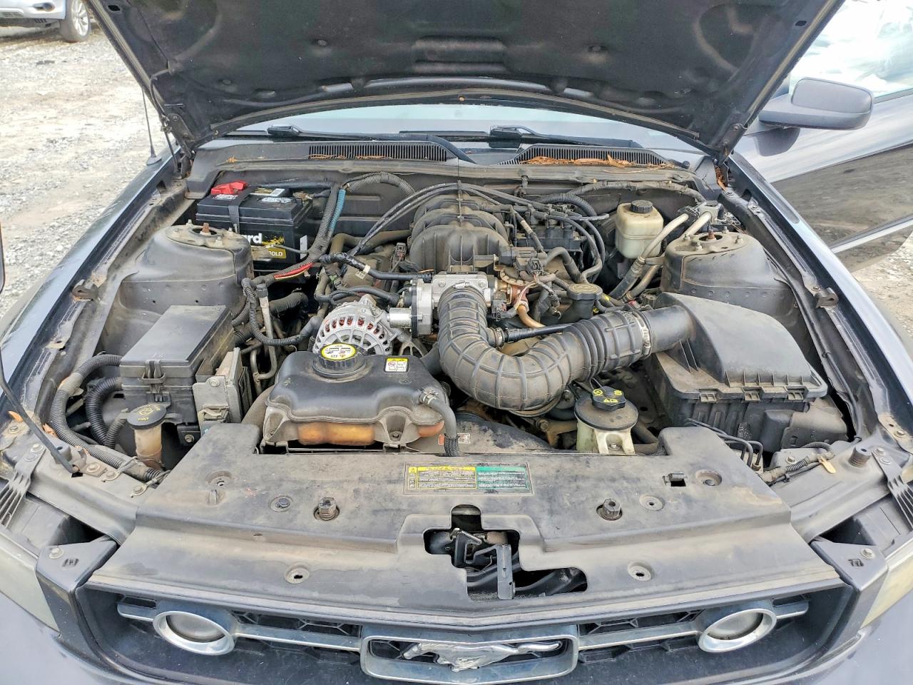2007 Ford Mustang Gray vin: 1ZVFT80NX75243160