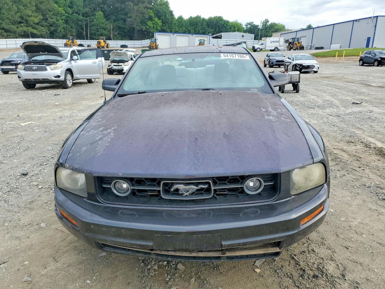 2007 Ford Mustang Gray vin: 1ZVFT80NX75243160