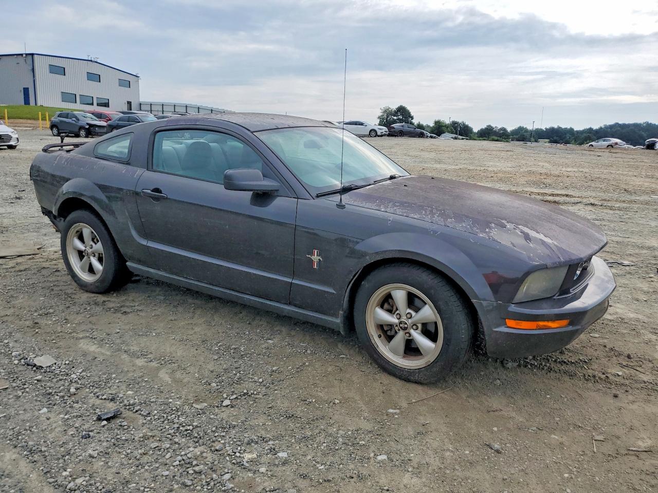 2007 Ford Mustang Gray vin: 1ZVFT80NX75243160