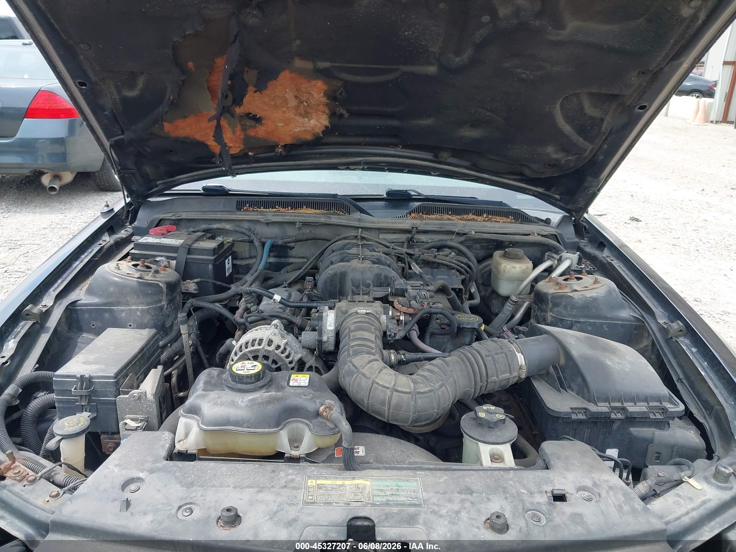 2007 Ford Mustang V6 Deluxe/v6 Premium Black vin: 1ZVFT80NX75255860