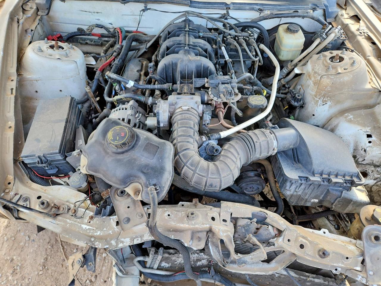 2007 Ford Mustang Коричневый vin: 1ZVFT80NX75281536