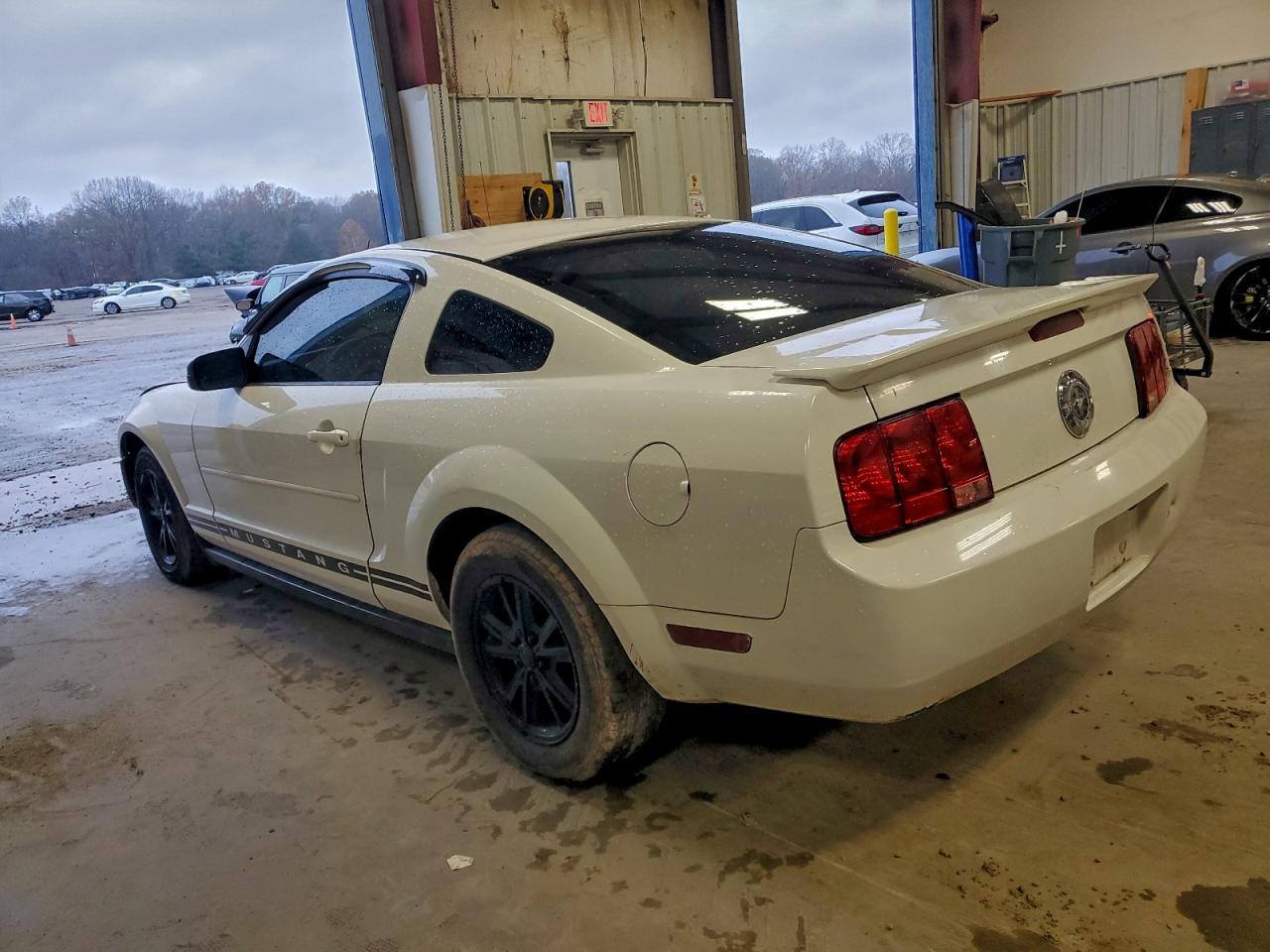 2007 Ford Mustang White vin: 1ZVFT80NX75307097