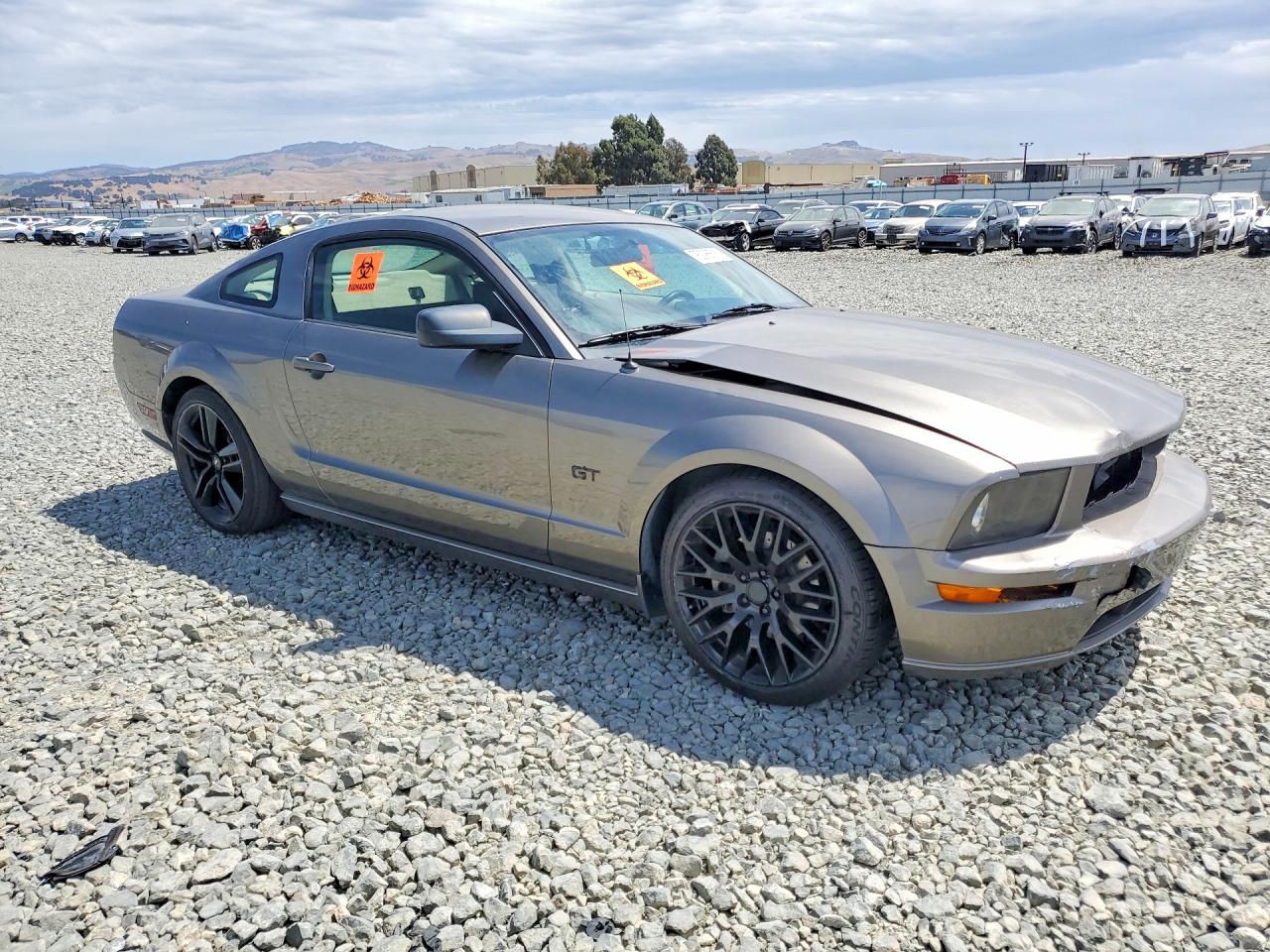 2005 Ford Mustang Gt Серый vin: 1ZVFT82H055190246