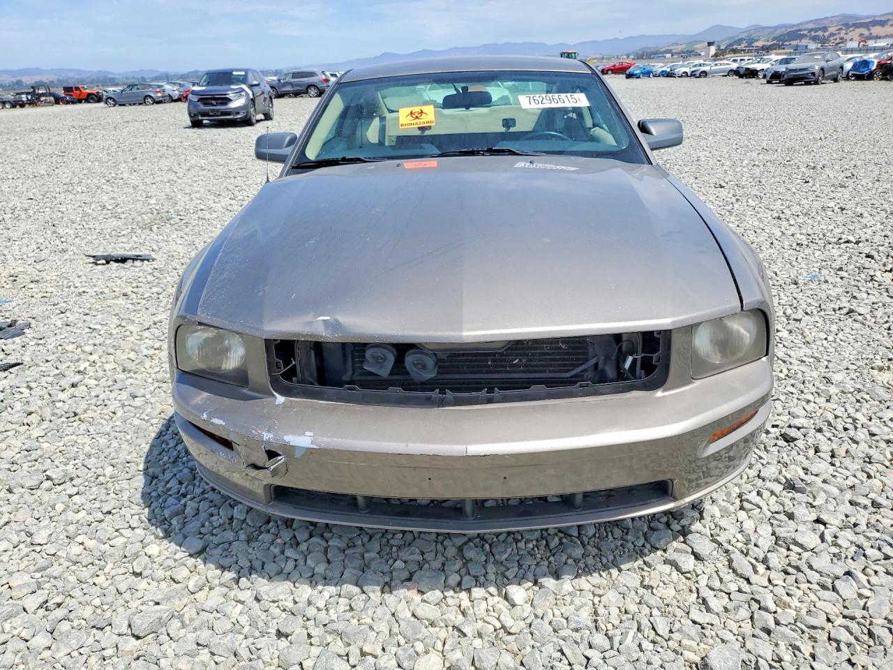 2005 Ford Mustang Gt Серый vin: 1ZVFT82H055190246