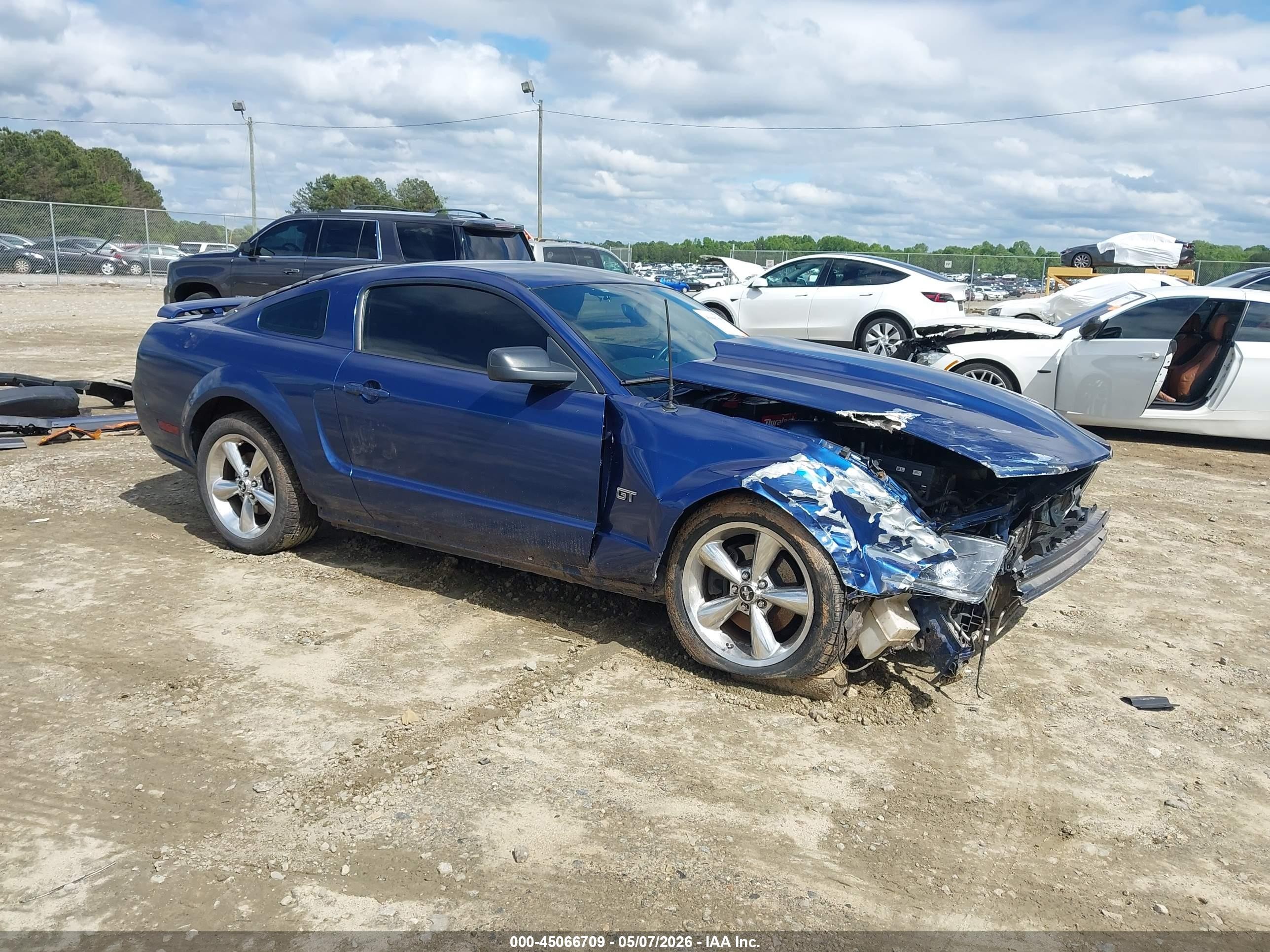 1ZVFT82H065215812