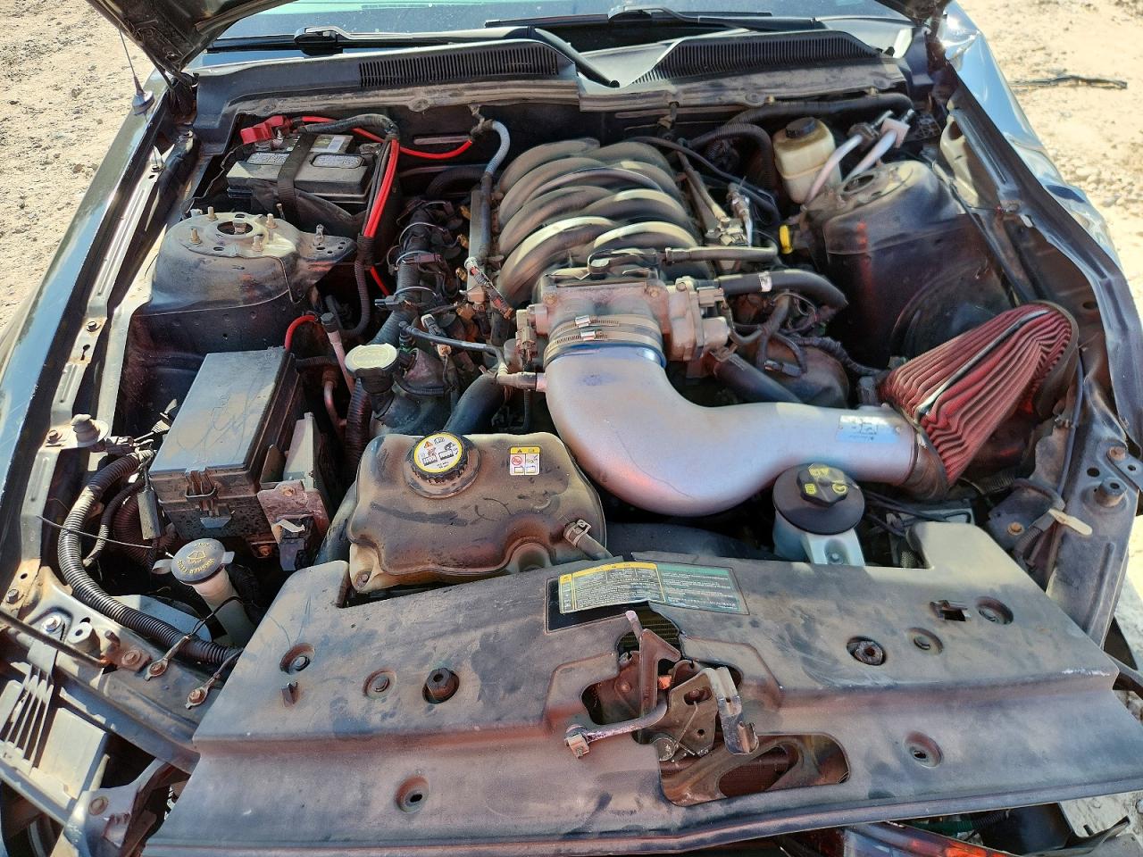 2006 Ford Mustang Gt Черный vin: 1ZVFT82H065222405