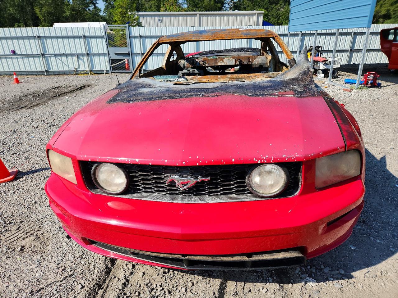 2006 Ford Mustang Gt Burn vin: 1ZVFT82H065223232