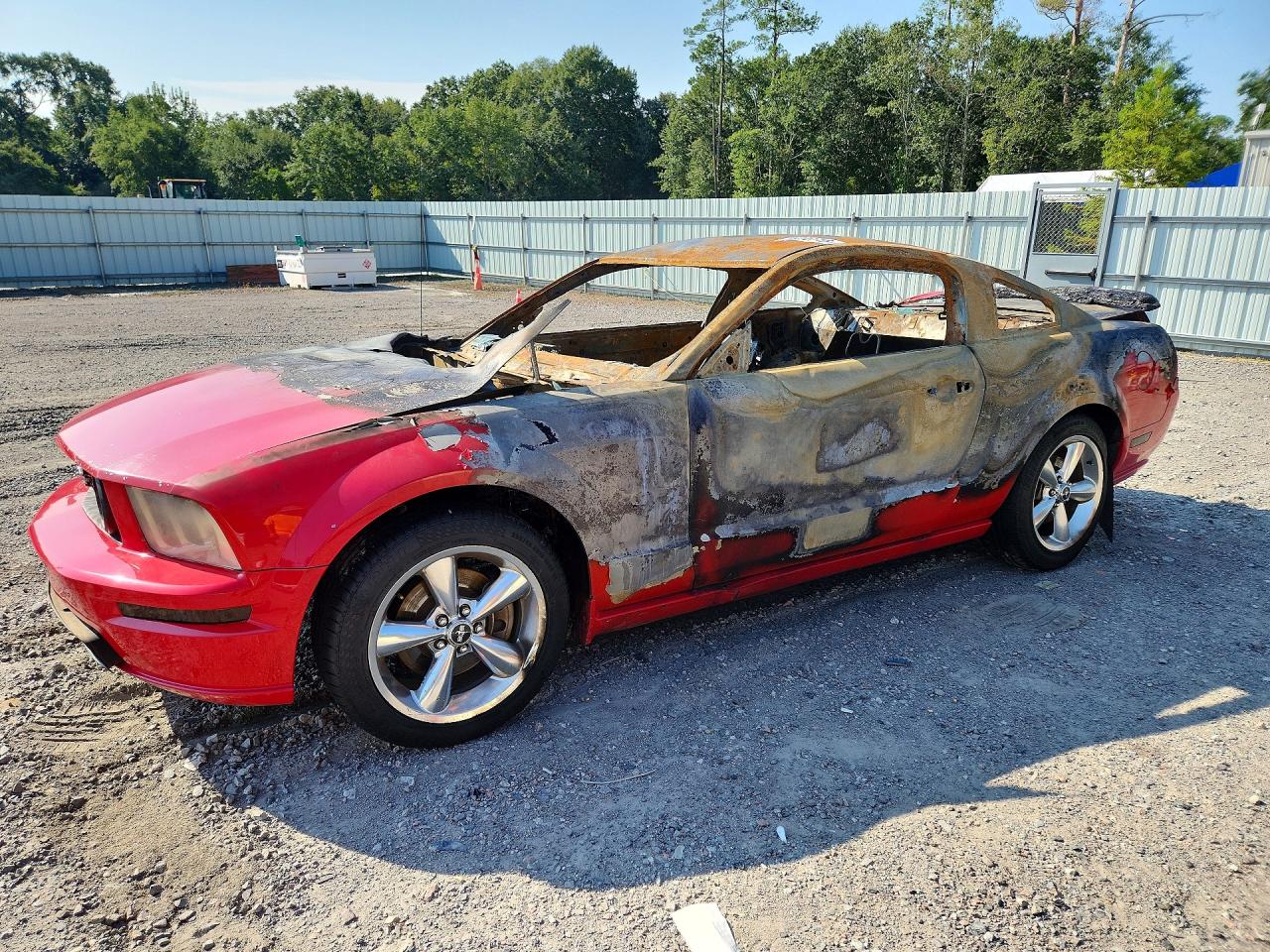 2006 Ford Mustang Gt Burn vin: 1ZVFT82H065223232