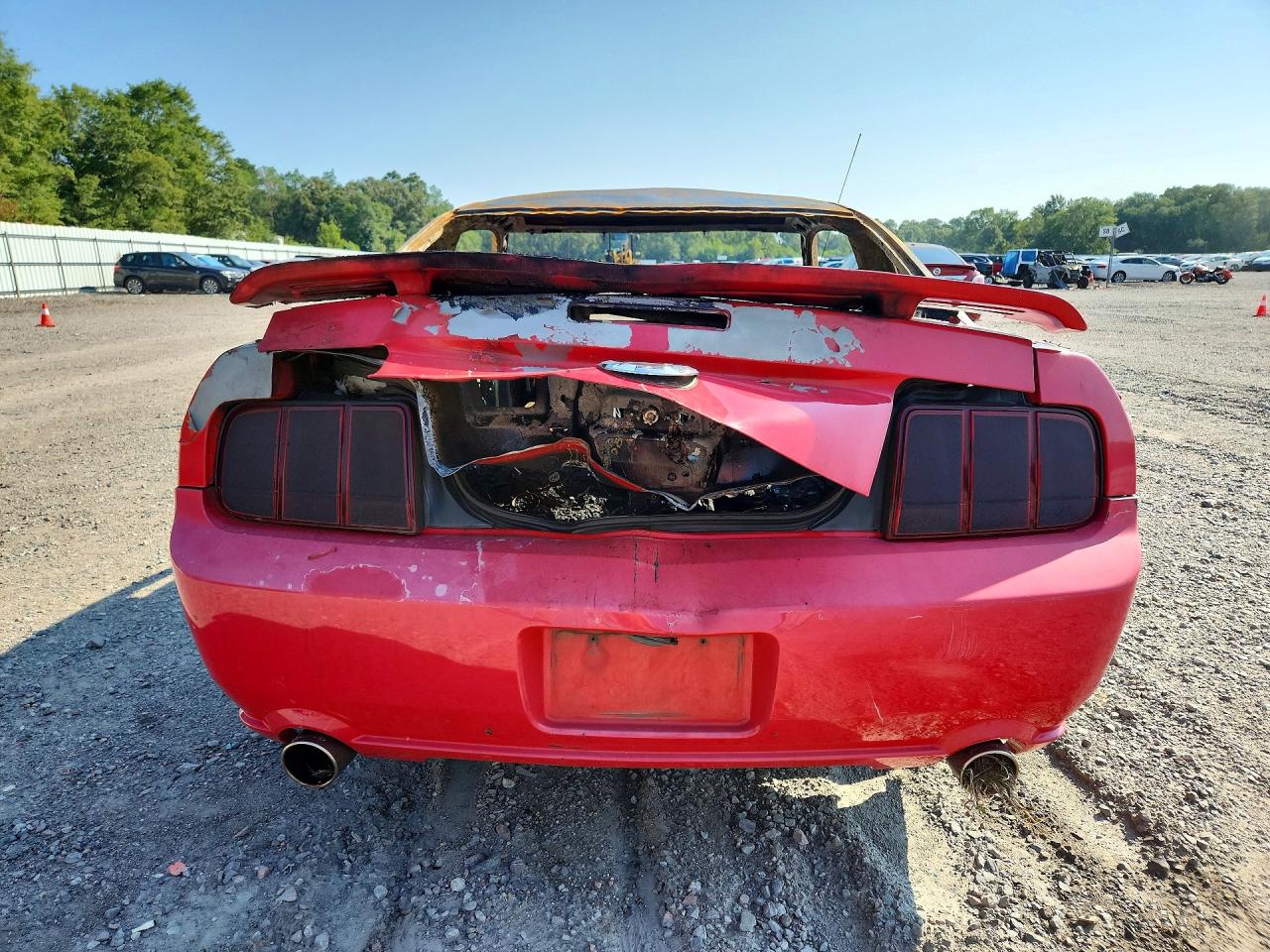 2006 Ford Mustang Gt Burn vin: 1ZVFT82H065223232