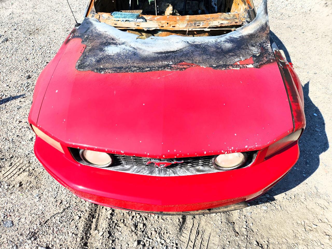 2006 Ford Mustang Gt Burn vin: 1ZVFT82H065223232