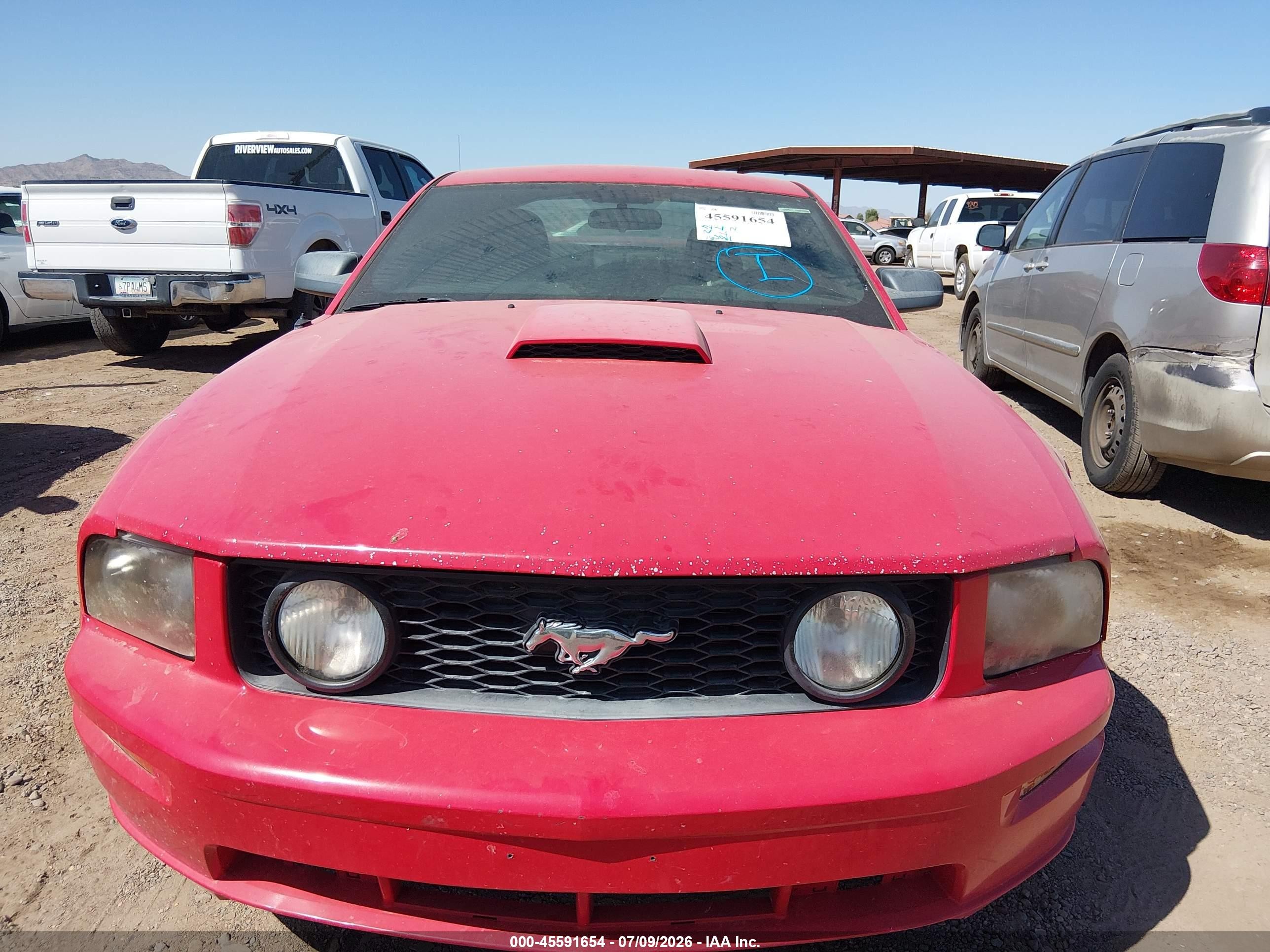 2007 Ford Mustang Gt Deluxe/gt Premium Purple vin: 1ZVFT82H075205430