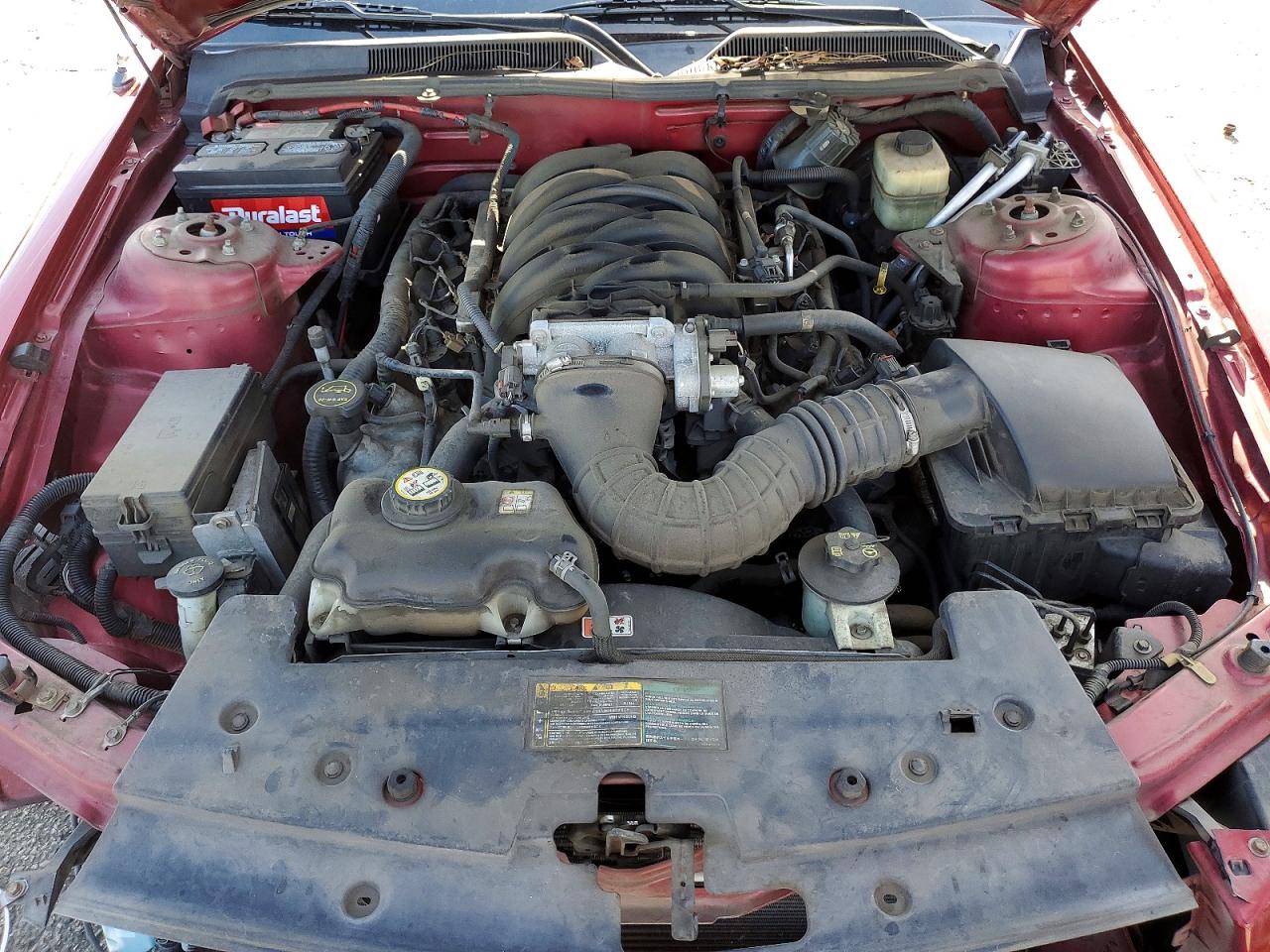 2006 Ford Mustang Gt Красный vin: 1ZVFT82H165194310