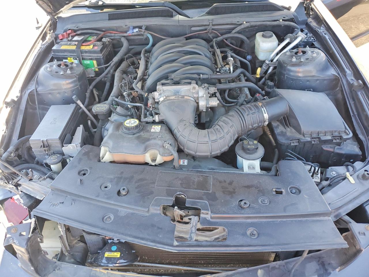 2007 Ford Mustang Gt Угольный vin: 1ZVFT82H175317573