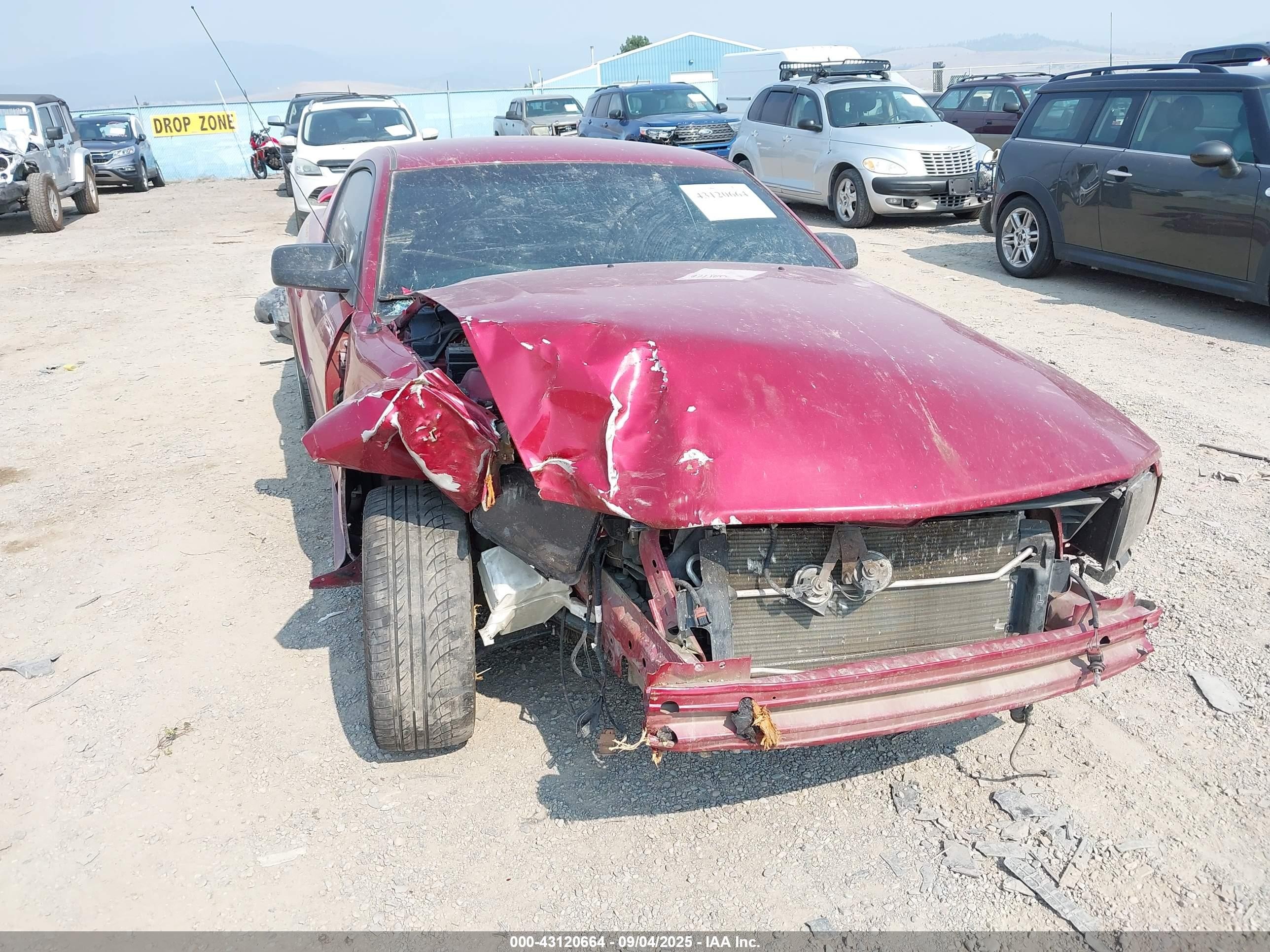 2006 Ford Mustang Gt Red vin: 1ZVFT82H265164720