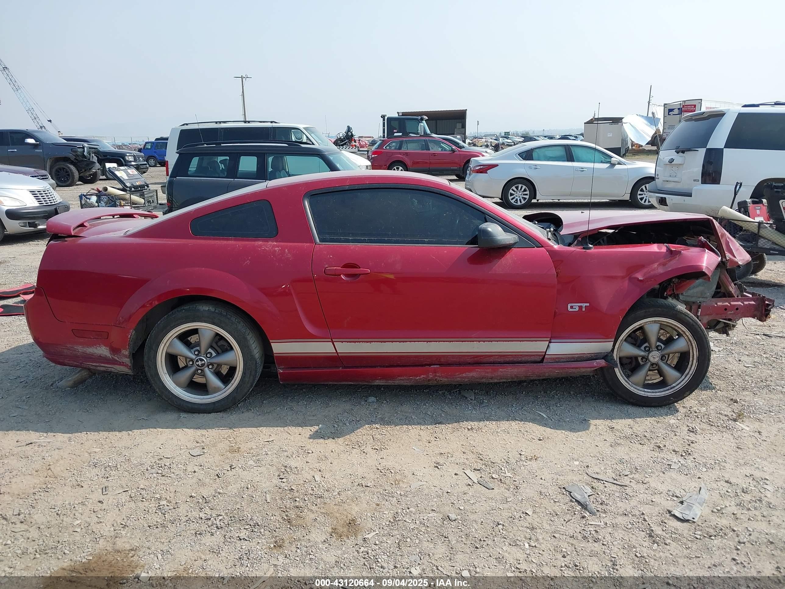 2006 Ford Mustang Gt Red vin: 1ZVFT82H265164720
