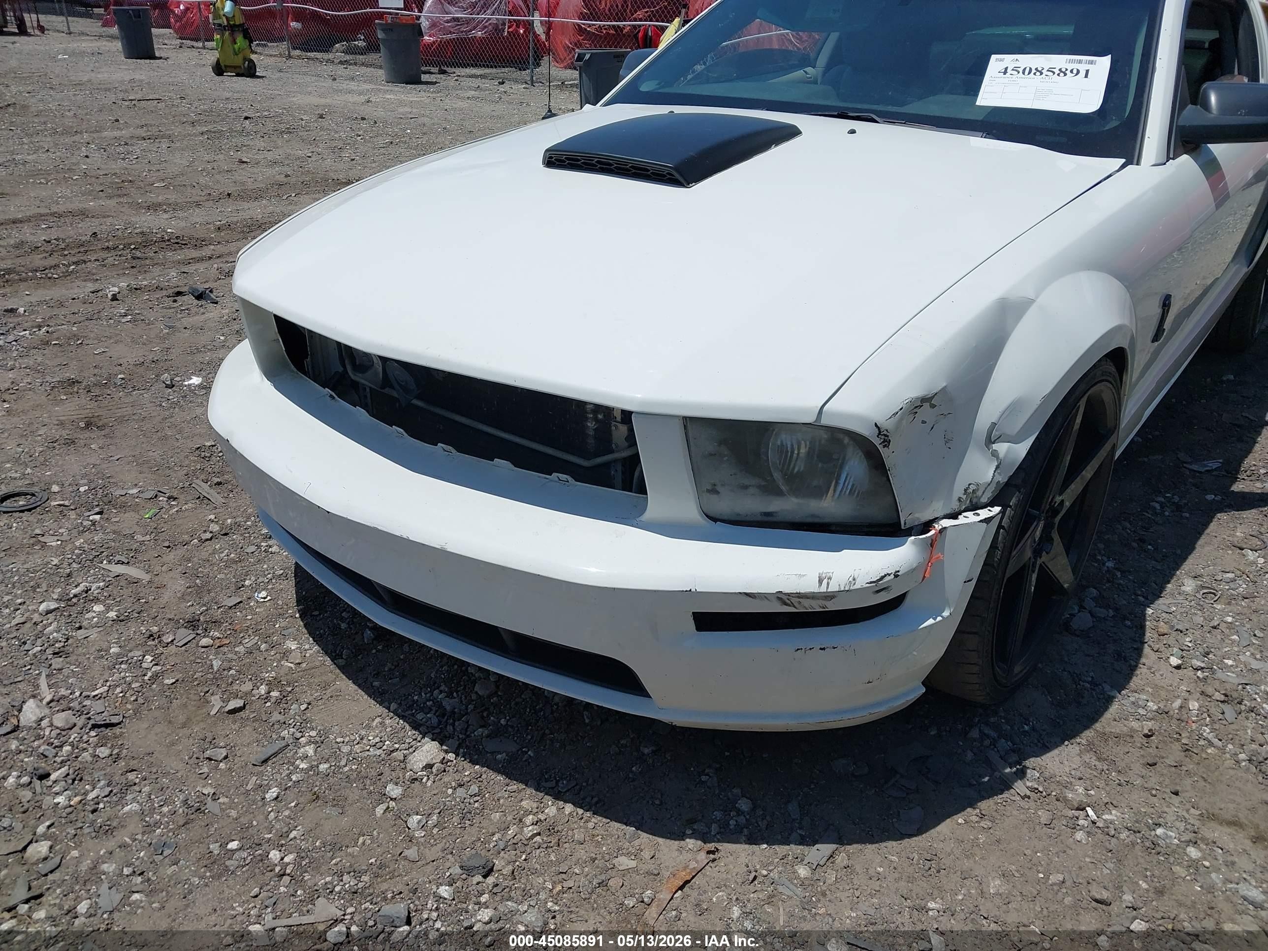2006 Ford Mustang Gt White vin: 1ZVFT82H265259598