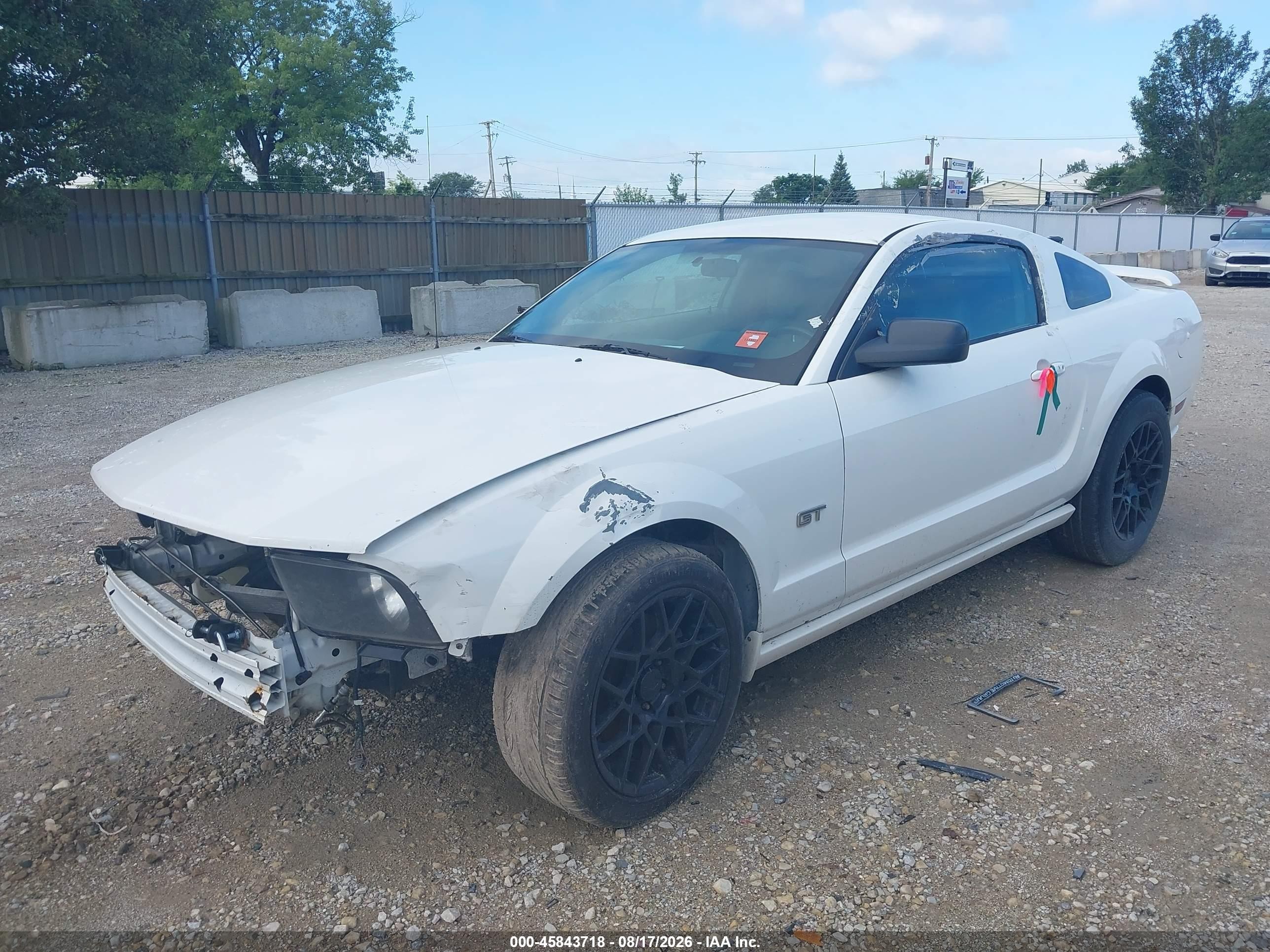 2005 Ford Mustang   White vin: 1ZVFT82H355124015