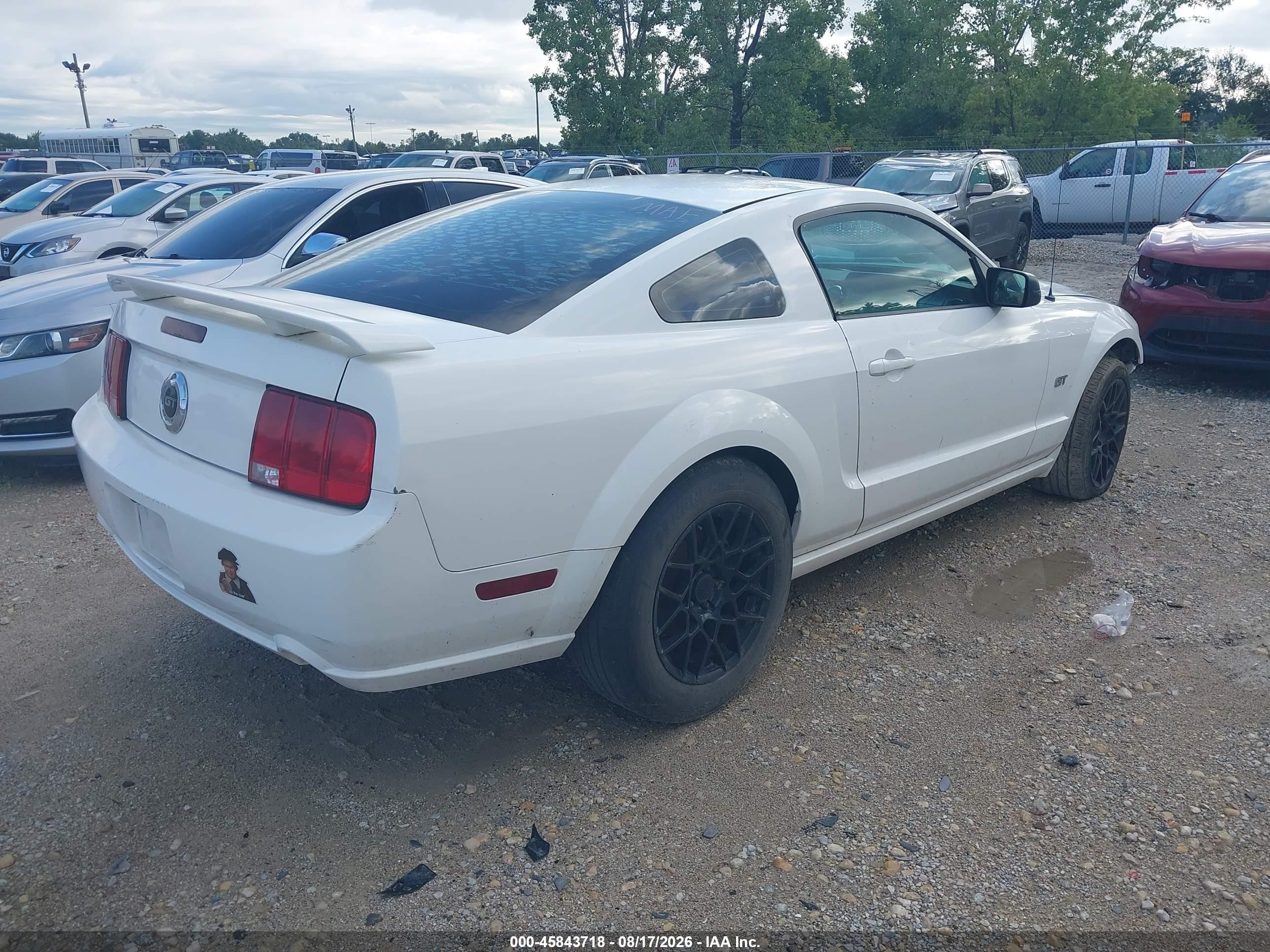 2005 Ford Mustang   White vin: 1ZVFT82H355124015