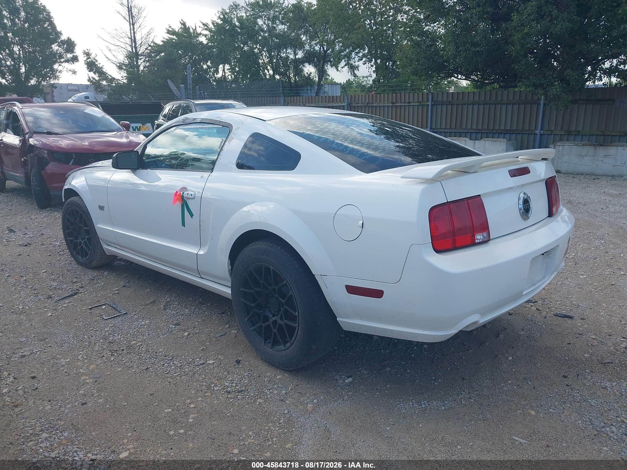 2005 Ford Mustang   White vin: 1ZVFT82H355124015